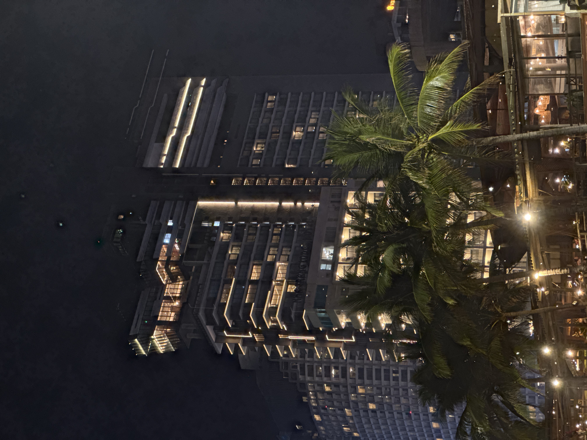 Captured at night, the image portrays a city scene in an unspecified location. A palm tree prominently features on the right, its fronds partially obscuring a multi-level building with illuminated windows and outdoor string lights. In the background, another building is visible with a distinctive architectural design. Dark water is seen on the left, adding depth to the scene.