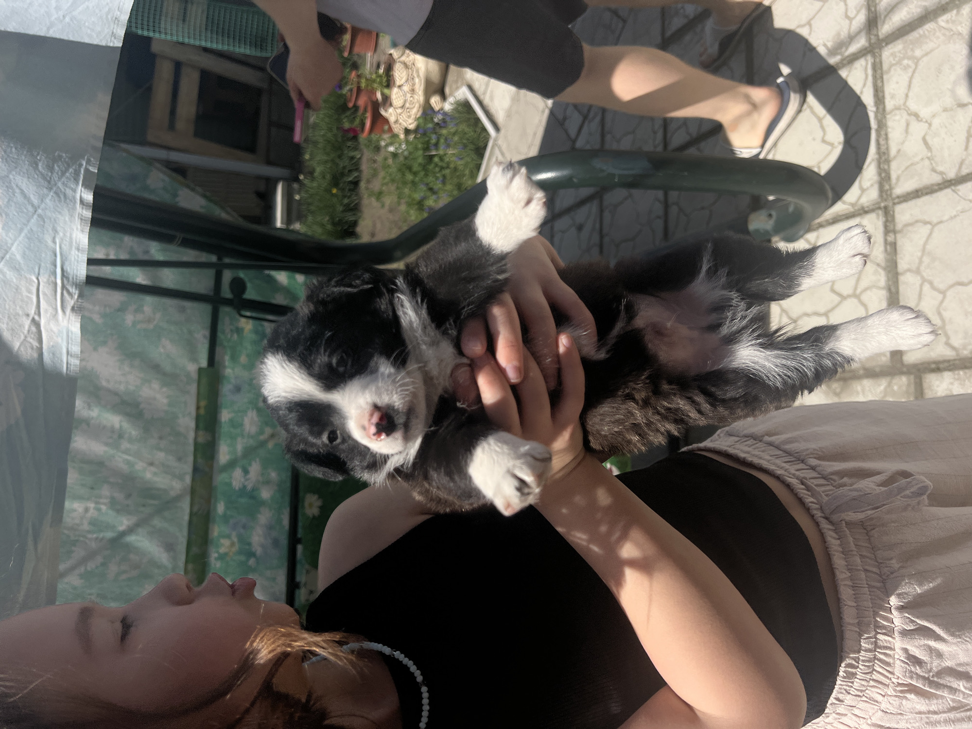 A person is holding a black and white puppy upside down. The puppy has white paws. The person holding the puppy is wearing a black tank top and beige shorts. Another person is walking in the background wearing grey shorts and flip-flops. They are in an outdoor area paved with grey tiles. There is a garden and foliage in the background. A garden swing is visible, with green floral fabric. The image was likely taken in an outdoor area. There is no evidence of the location being in the city of Слобода, Russia.