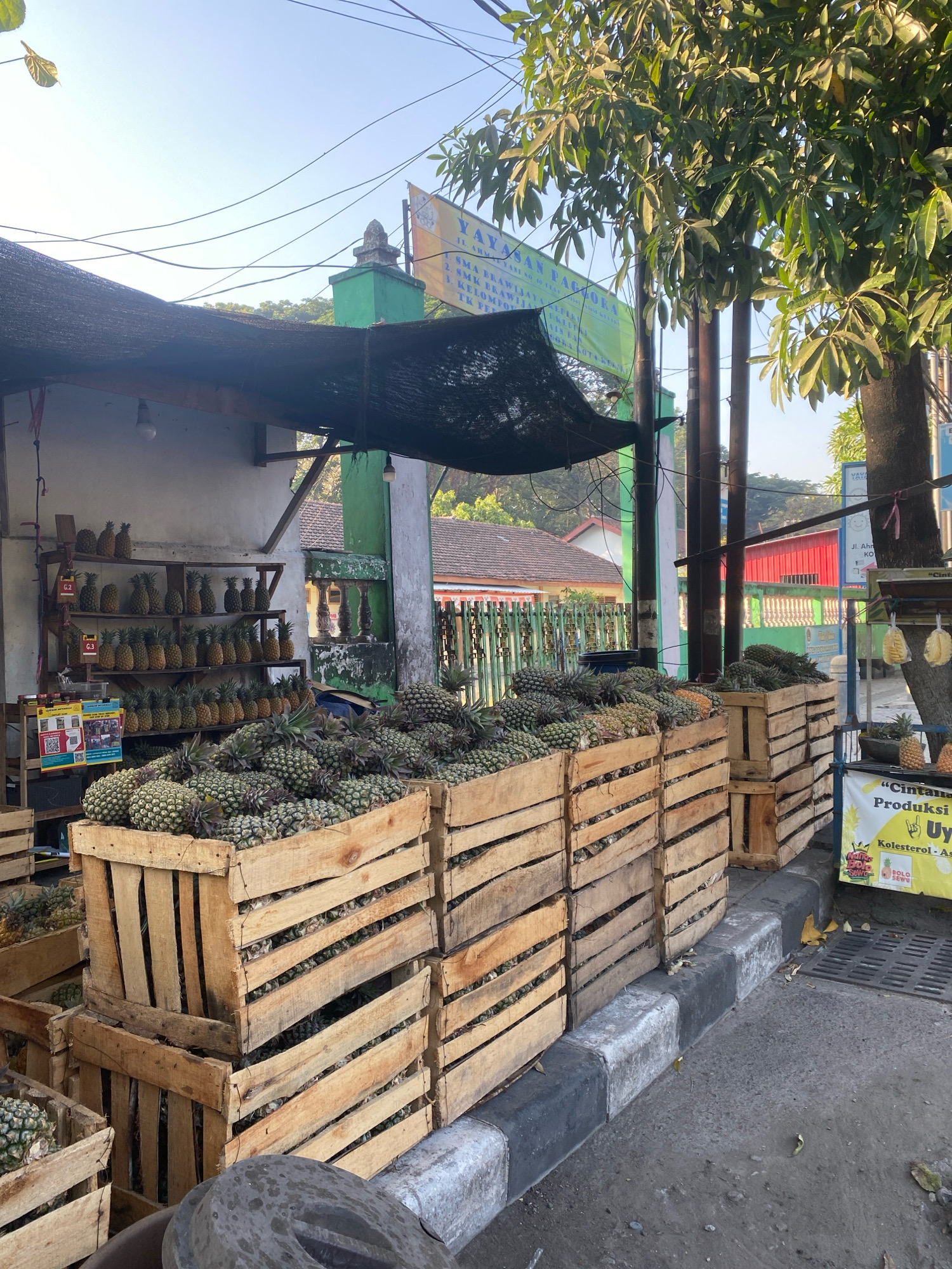 This image depicts an outdoor fruit stand, likely a pineapple vendor, located on a street in Kediri City, Indonesia. The stand is laden with a large quantity of pineapples, displayed in numerous wooden crates that are stacked and arranged along the sidewalk. Some pineapples are also visible on shelves within a covered structure. The background shows a residential area with houses and a green gate, suggesting a bustling urban or semi-urban environment. The scene is illuminated by natural sunlight, casting shadows and highlighting the fresh produce. The overall impression is that of a typical street market scene, focusing on the abundance of locally sourced fruits.