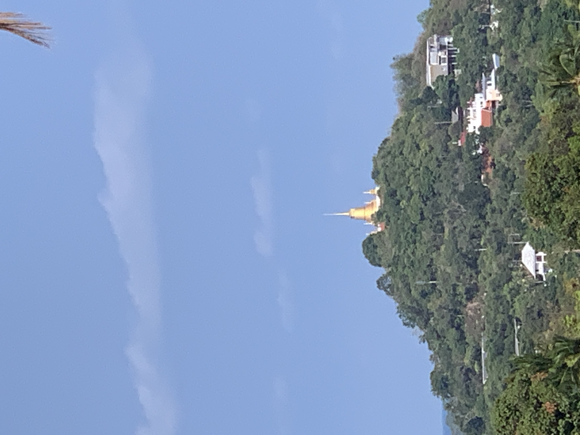 The image depicts a hillside in บ้านบางรักษ์, Thailand. A golden temple or pagoda spire rises above the dense green trees covering the hill. Residential buildings are scattered throughout the trees on the hillside. The sky is predominantly light blue with some faint wisps of white clouds. A small, blurry section of palm fronds is visible in the upper left corner.