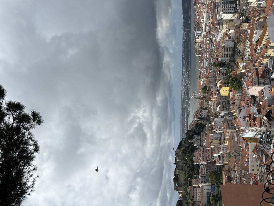 The image shows a view of the city of Lisboa, Portugal from a vantage point on a hill. The coordinates provided (38.719, -9.133) place the location near the Castelo de São Jorge, a historic castle in the Alfama neighborhood of Lisbon.
The image captures a panoramic view of the city's rooftops and buildings, stretching towards the Tagus River in the distance. The sky is predominantly covered in grey clouds, creating a dramatic contrast with the cityscape. A single bird is visible flying across the frame, adding a sense of scale and movement.
A small section of the Castelo de São Jorge is visible in the foreground, with its green vegetation contrasting with the terracotta rooftops and yellow-toned walls of the surrounding buildings. The cityscape extends towards the river, with various buildings, including a few taller structures, visible in the distance. The river itself is visible in the background, with a slight haze obscuring the opposite shore.