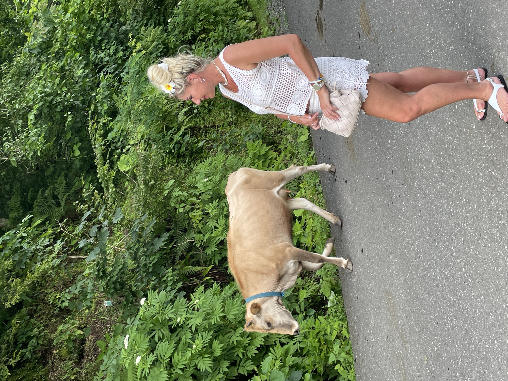 A light-skinned woman with blonde hair styled in a bun and adorned with a white flower stands on an asphalt road, facing left. She is wearing a white crochet top and a white lace skirt, with white sandals on her feet. She is holding a light-colored woven purse. To her left, a light brown cow with a blue collar is walking on the same road, also facing left. The background consists of dense green foliage, with trees and plants on a hillside. The scene appears to be outdoors, possibly on a road in or near Tqwarchal, Abkhazia, given the natural, somewhat overgrown environment.
