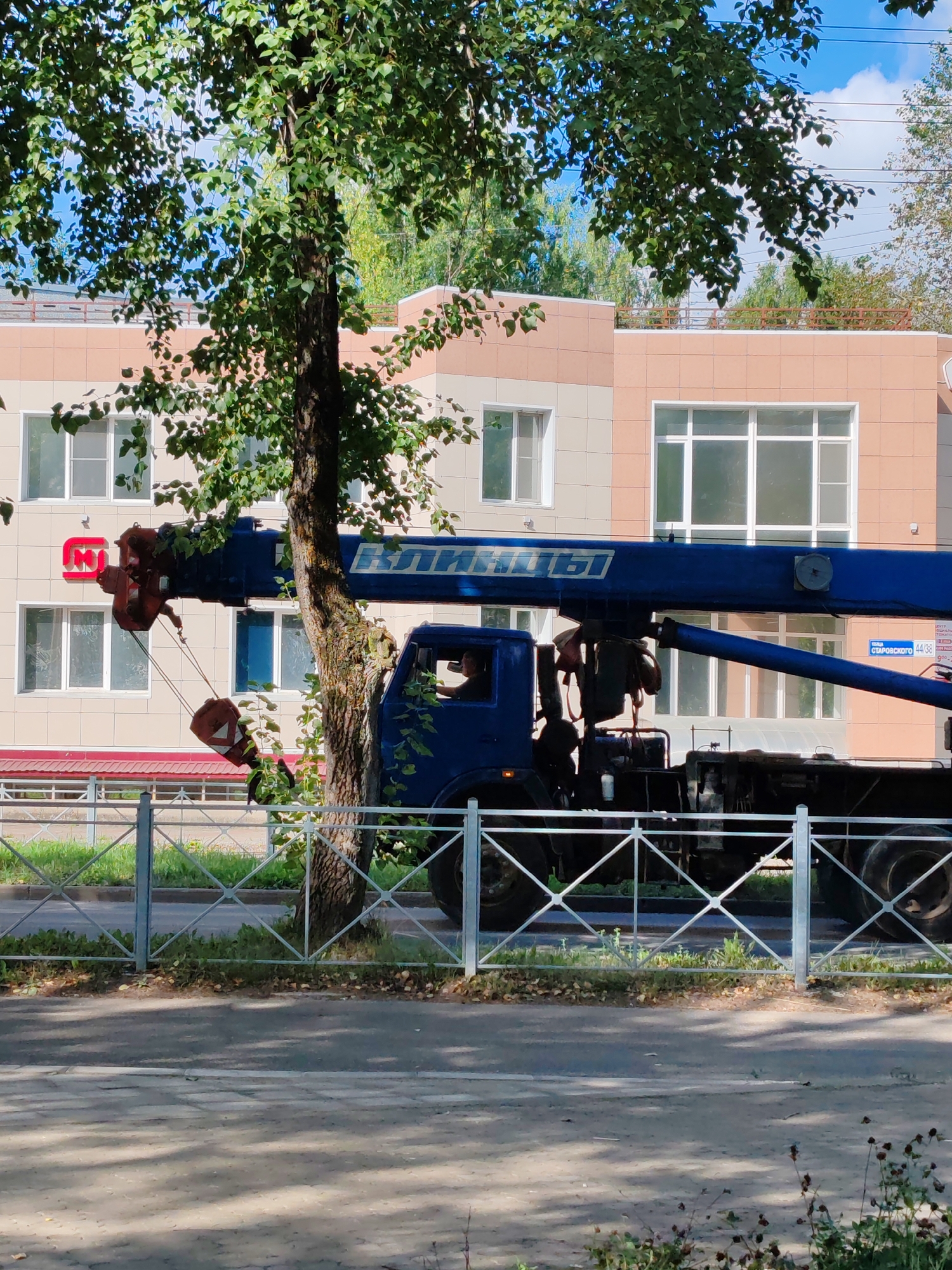 A blue crane truck is parked on a paved street in front of a modern building with light pink and beige facades and white framed windows. The truck has a long blue boom extended, with a red hook suspended from it. The boom has the Cyrillic word "КАЙМАН" in white lettering. A driver is visible inside the truck's cab. A mature tree with green leaves stands in the foreground, partially obscuring the truck and the building. A metal fence with a diamond pattern runs along the street in front of the truck. The ground in front of the fence is covered in green grass and fallen leaves. The scene appears to be a street in the city of Syktyvkar, Russia, indicated by the street sign visible on the building which reads "улица Старорусского 44/38" (Starorusskogo Street 44/38). The sky is partly cloudy and blue.