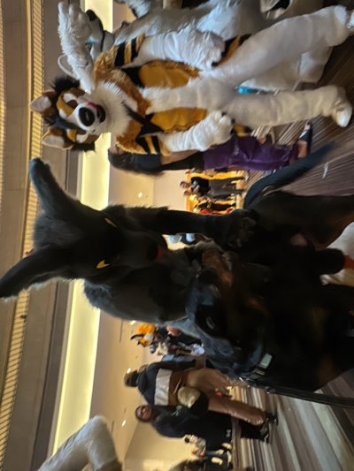 The image shows a gathering of people, many in elaborate costumes resembling animals, known as "furries," likely taken at a convention. The scene appears to be indoors, possibly a hotel or convention center in Atlanta, based on the overall setting.
Notable subjects include individuals wearing full-body furry suits of various colors and animal types. There is a black dog with a collar is being licked by someone in a black furry suit. Other people in casual clothing are standing and walking around in the background. The environment seems busy and crowded.