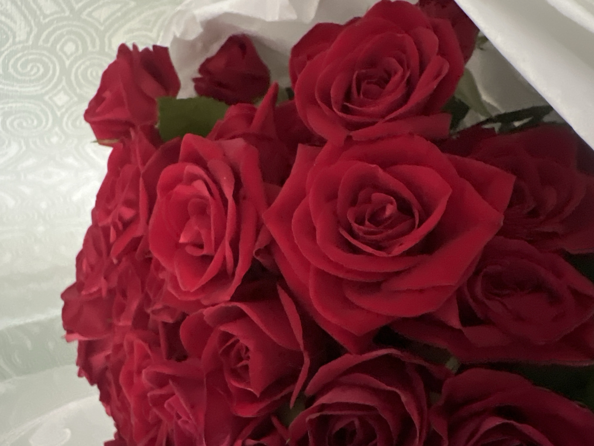 The image captures a vibrant, close-up view of a bouquet composed predominantly of fresh, deep red roses. The main subjects are the numerous rose blossoms, densely packed together, showcasing their intricate petal arrangements. Many roses are fully open, revealing their layered centers, while a few smaller buds are also visible, suggesting varying stages of bloom. Hints of dark green leaves can be seen interspersed among the red petals.
The roses are partially encased in a soft, white material, likely wrapping paper or fabric, which frames the bouquet along the upper and right edges, as highlighted in some of the cropped views. The background, particularly noticeable in the upper left of the original image and a dedicated crop, is a light, possibly off-white, surface featuring a subtle, repeating geometric or swirling pattern, characteristic of wallpaper or textured interior decor. This detail places the scene indoors.
No specific activity or event is explicitly depicted beyond the presentation of the bouquet itself. The clean and fresh appearance of the roses suggests they are newly acquired or arranged, intended for display, gifting, or a celebratory occasion. The time of day is not discernible, but the lighting appears soft and even, highlighting the rich color and texture of the petals. No visible text is present in the image. The scene is set in Kyiv, Ukraine.
