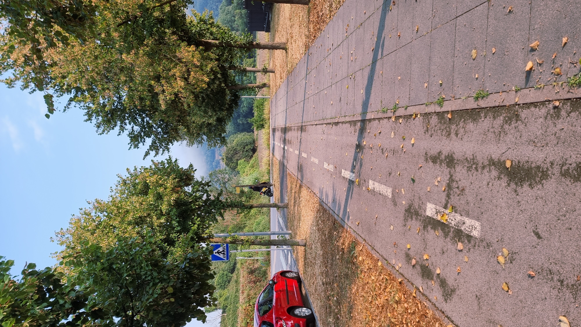 The image depicts a pathway in Sant Joan Les Fonts, Spain, bordered by trees and a sidewalk. A red car is parked on the left side of the pathway. A pedestrian crossing sign is visible near the parked car, and a person is riding a scooter in the distance. The ground is covered with fallen leaves, suggesting an autumn or late summer season. The sky is clear and blue, with some low-lying mist visible in the background over the hills. The pathway itself is divided, with a section for bicycles marked by dashed white lines and an adjacent section of paved sidewalk.