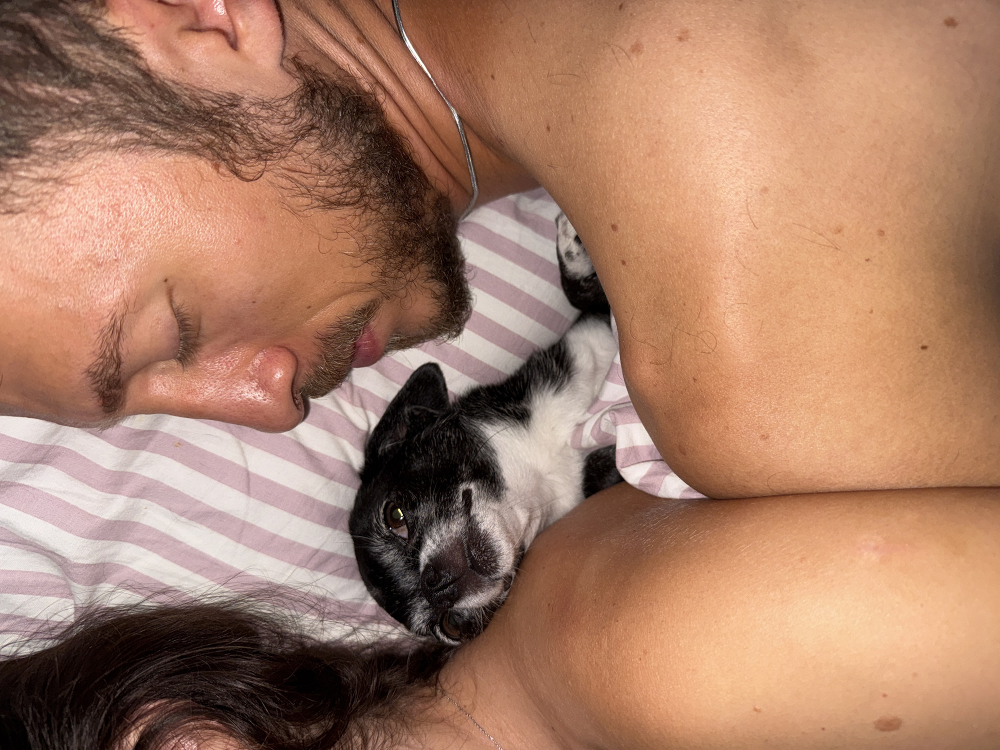 The image depicts a close-up of a man, a woman, and a small black and white dog sleeping in bed. The dog is nestled between the man and the woman. The bedsheets have pink and white stripes. The scene is domestic and intimate. No specific location in Tel-Aviv, Israel can be determined from the image.