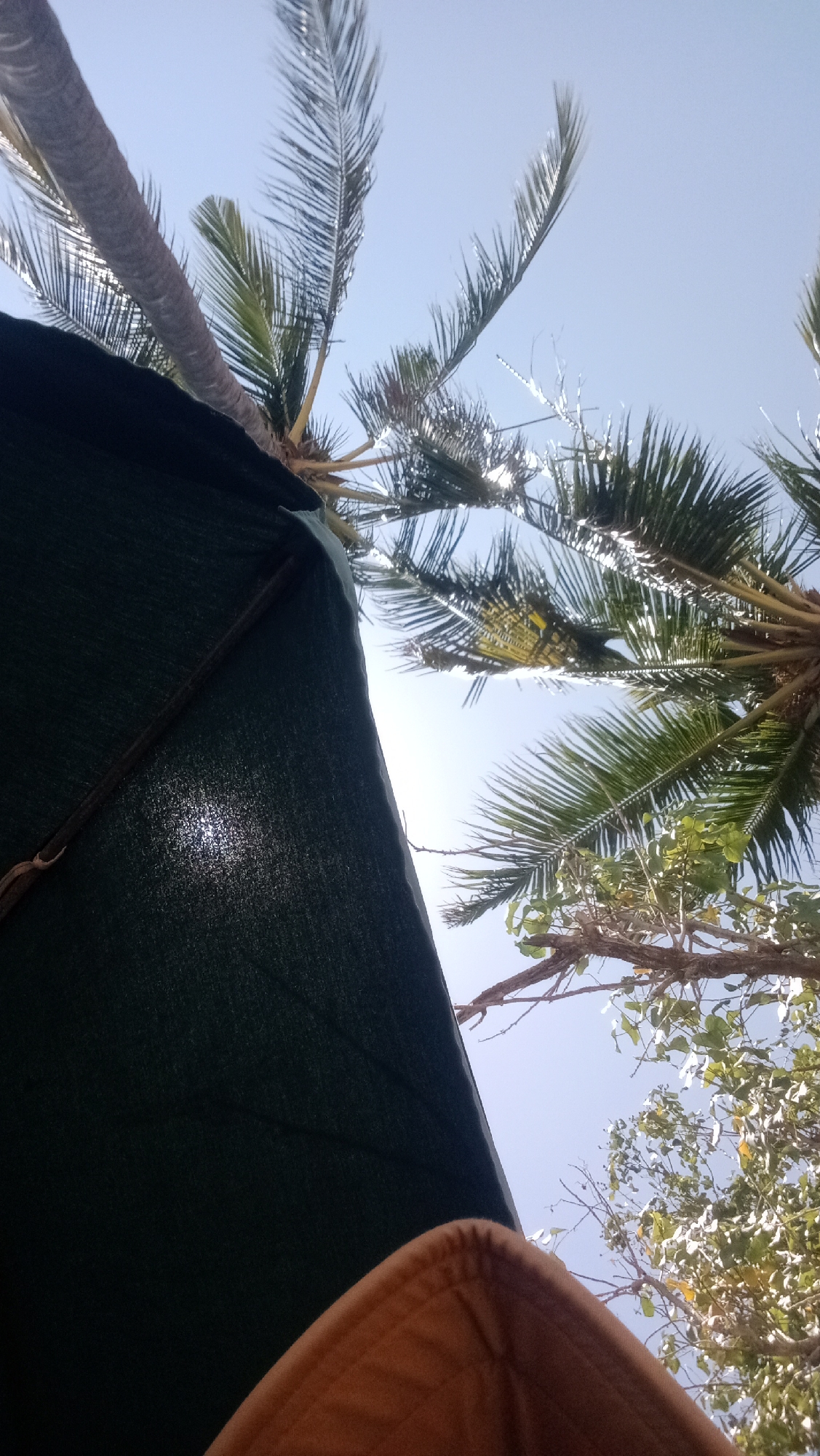 A low-angle shot captures palm fronds against a clear blue sky. A dark green tarp or umbrella dominates the left side of the frame, with sunlight filtering through its weave and creating a bright spot. In the foreground, the edge of a tan-colored blanket or fabric is visible. The scene appears to be an outdoor setting, possibly a beach in Kuta, Indonesia, given the presence of palm trees and the clear sky suggesting warm weather.