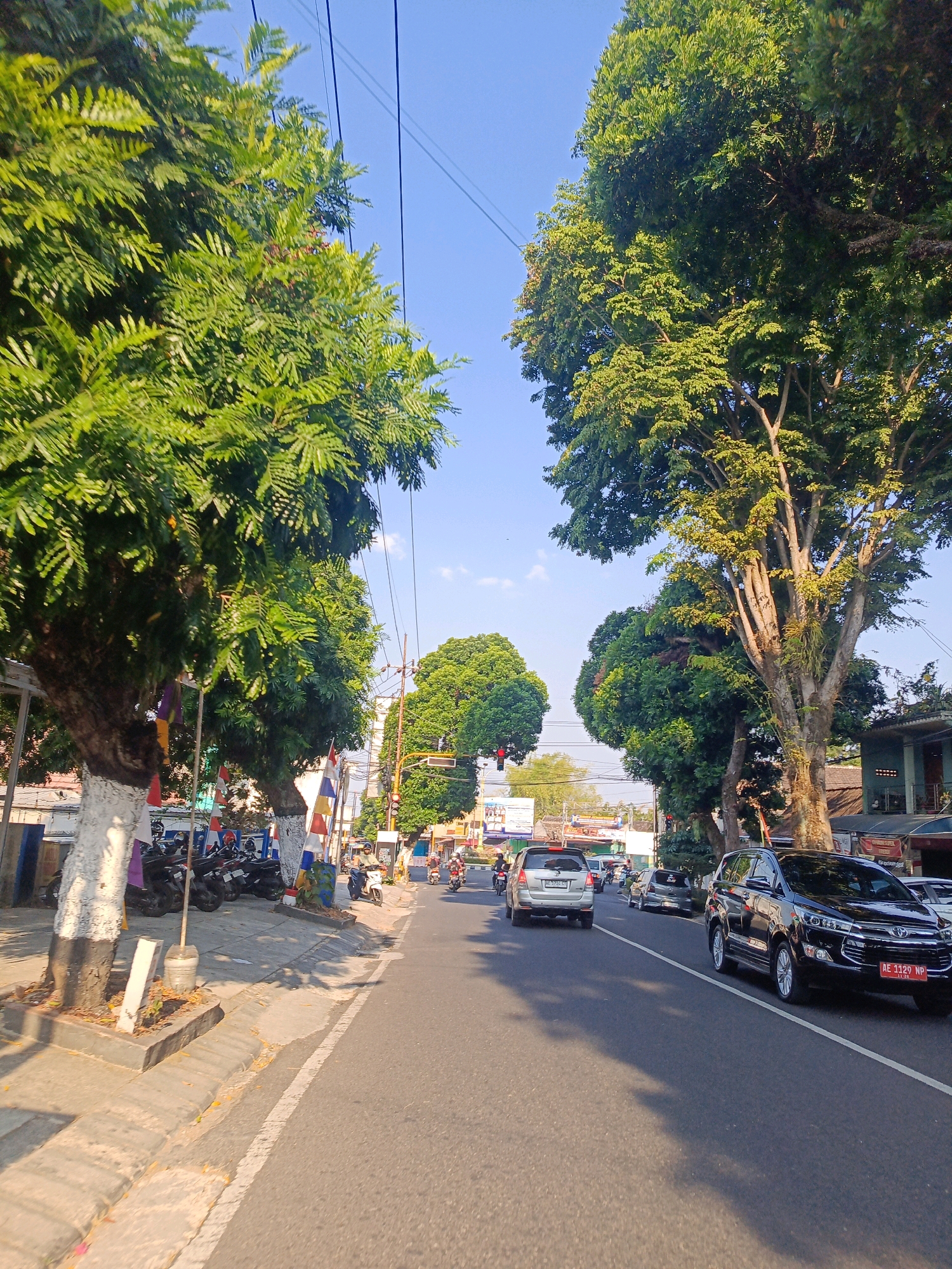 The image depicts a street scene in Candirejo, Indonesia, on a clear, sunny day. The foreground shows a paved road with a white line marking the lane. A black SUV is in the right lane, with a license plate reading "AE 1129 NP". To the left of the road is a sidewalk with a stone curb. Several motorcycles are parked on the sidewalk. Two large trees with dense green foliage flank the road, casting shadows. In the mid-ground, several other cars and motorcycles are visible on the road. A traffic light can be seen in the distance. The background features more trees and buildings, indicating an urban or semi-urban environment. The sky is a clear blue.