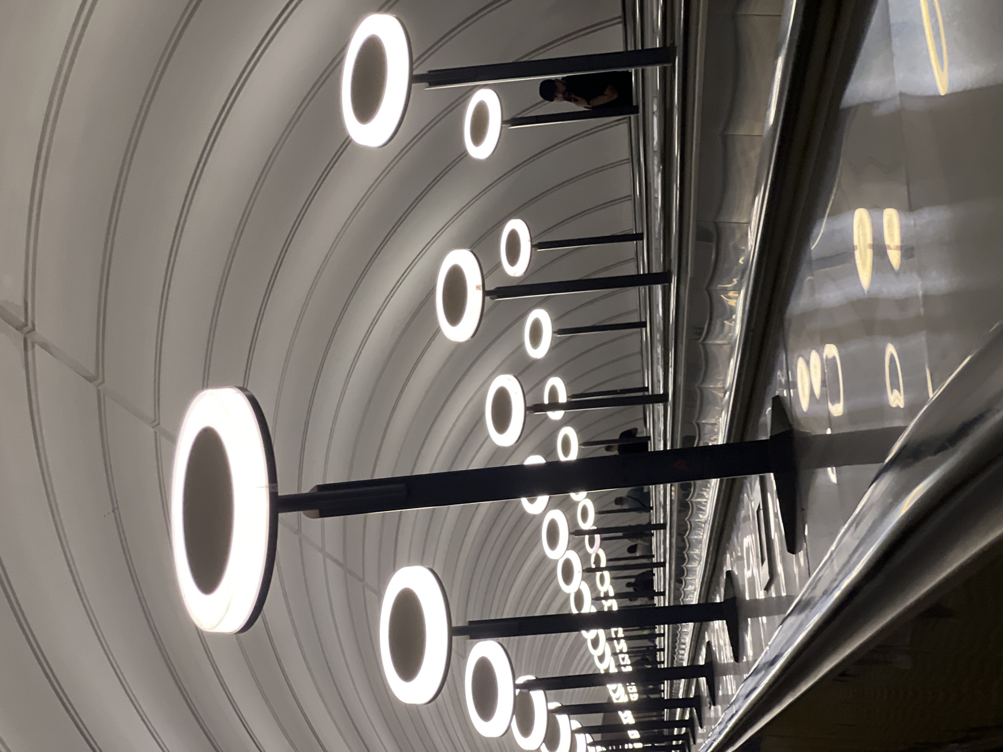 The image shows a section of a Moscow metro station in Russia, focusing on the design of the ceiling and the lighting fixtures. The ceiling is curved and features parallel lines or ridges. Attached to the ceiling are rows of circular, ring-shaped light fixtures. The lights are evenly spaced. The lighting fixtures are attached to the ceiling with horizontal supports. The polished metro station wall is also visible, reflecting the lights and design elements of the ceiling. People are seen partially visible between the gaps of the lights.