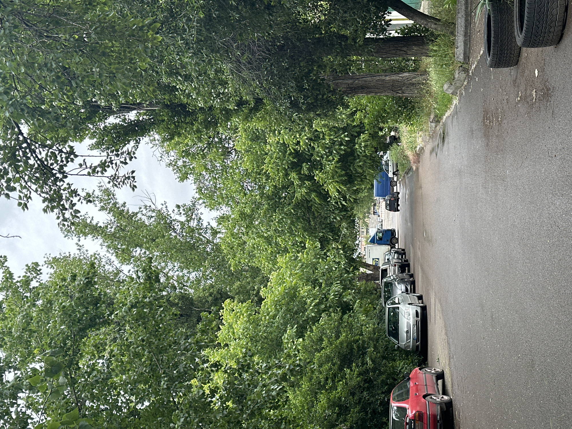 The image depicts a street scene dominated by lush green trees and parked vehicles under an overcast sky during daytime. The perspective is slightly angled, looking down a roadway that runs from the foreground towards the background.
On the left side of the frame, dense green foliage from numerous trees creates a natural wall. Visible tree trunks rise along the edge of what appears to be a sidewalk or grassy verge. The sky, visible through gaps in the tree canopy, is cloudy.
The right side of the image features an asphalt road, which appears somewhat damp in areas. A curb separates the road from a narrow strip of grass and additional trees. Several vehicles are parked in a line along the right side of the road, facing away from the viewer. In the immediate foreground, part of a red car is visible. Further down the line, a silver car is parked, on which a license plate "BH 7354 TM" is clearly legible, indicating a Bosnian origin. Behind it, several other cars and vans of various colors, including a white van and a blue truck/van, are parked. In the far upper right corner, two loose tires are resting on the ground next to the road.
There is no discernible human activity or specific event taking place; the scene portrays a quiet, tree-lined street with parked cars.