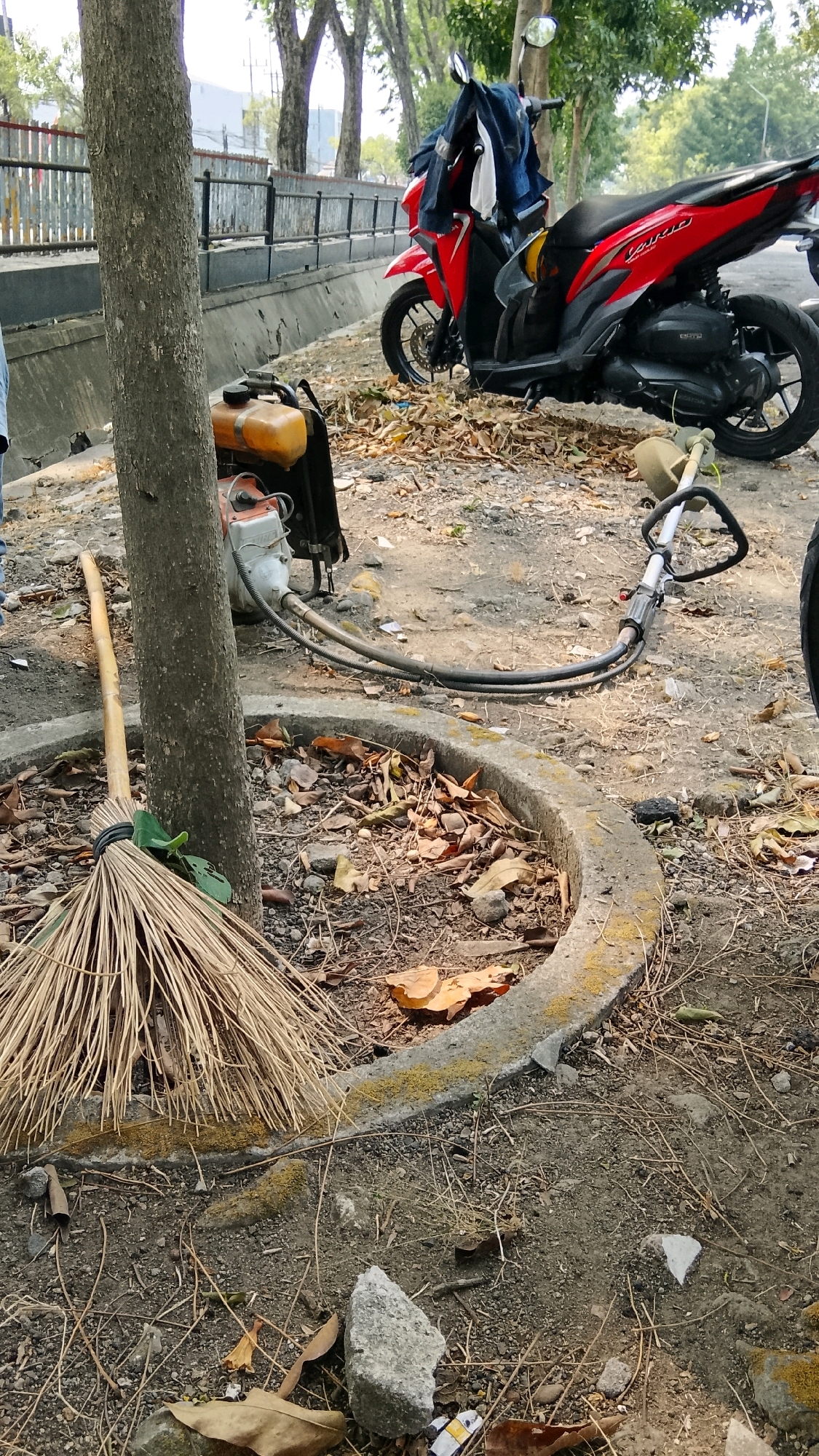 The image depicts an outdoor scene near a roadside in Gapurosukolilo, Indonesia. In the foreground, a weathered broom made of natural fibers leans against a tree trunk. To the right, a concrete planter contains dry leaves and debris. A grass trimmer, with its engine unit and cutting head visible, is situated on the ground, connected by cables. Further back, a red scooter is parked. The scooter has blue and white clothing draped over its handlebars. The environment appears somewhat unkempt, with a mixture of dirt, leaves, and scattered small rocks on the ground. A grey concrete barrier runs along the background, beyond which are trees and some indistinct buildings. The lighting suggests it is daytime.