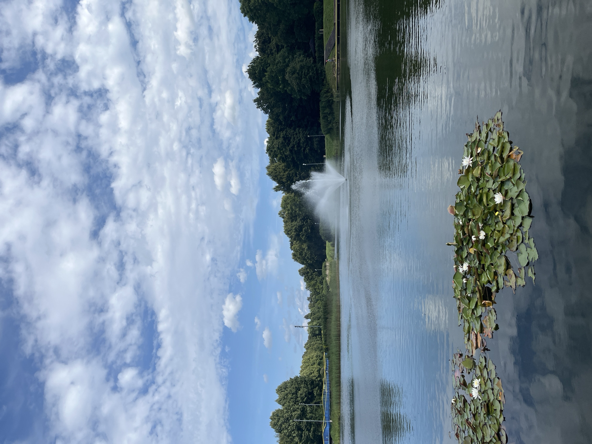 The image depicts a serene park scene with a body of water featuring a prominent fountain in the center. The water is calm, reflecting the blue sky and fluffy white clouds above. In the foreground, a cluster of water lilies with white blooms floats on the surface, adding a touch of natural beauty to the landscape. The background is lined with a dense forest of green trees, suggesting a park or natural reserve. A bridge, painted blue with yellow accents, is visible on the left side, possibly part of the park's infrastructure. Further to the right, a wooden pier extends into the water, with a lone figure walking on it. The overall impression is one of tranquility and natural beauty within an urban park setting, identified as being in Kohtla-Järve linn, Estonia.