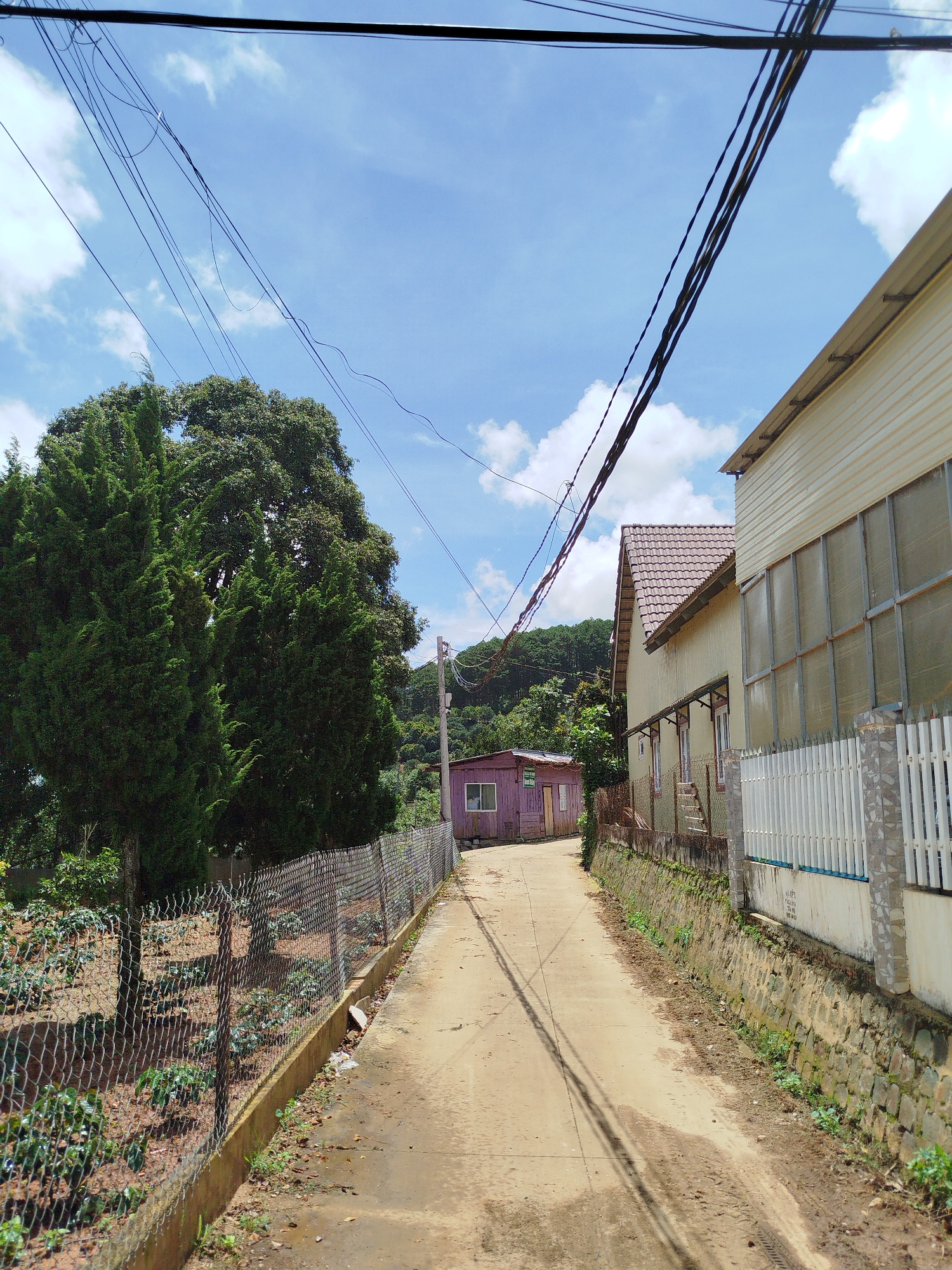 The image depicts a narrow, unpaved road in Trường An, Vietnam, flanked by residences and lush vegetation. A chain-link fence runs along the left side of the road, bordering a plot of land with young plants. Dominating the left side of the frame is a large, dense green tree, its branches spreading wide. Further down the road, a small, purple, single-story house with a white-framed window is visible.
On the right side of the road, a light yellow, two-story building with a tiled roof stands prominently. Its exterior walls appear to be made of corrugated metal siding in some sections, with some areas covered by transparent corrugated panels. A white picket fence, interspersed with stone pillars, encloses the property.
Overhead, a tangle of black electrical wires crisscrosses the sky, casting shadows on the road. The sky above is a bright blue, dotted with scattered white clouds. The overall impression is a rural or semi-rural residential area, characterized by simple architecture, natural greenery, and the ubiquitous presence of overhead utility lines.