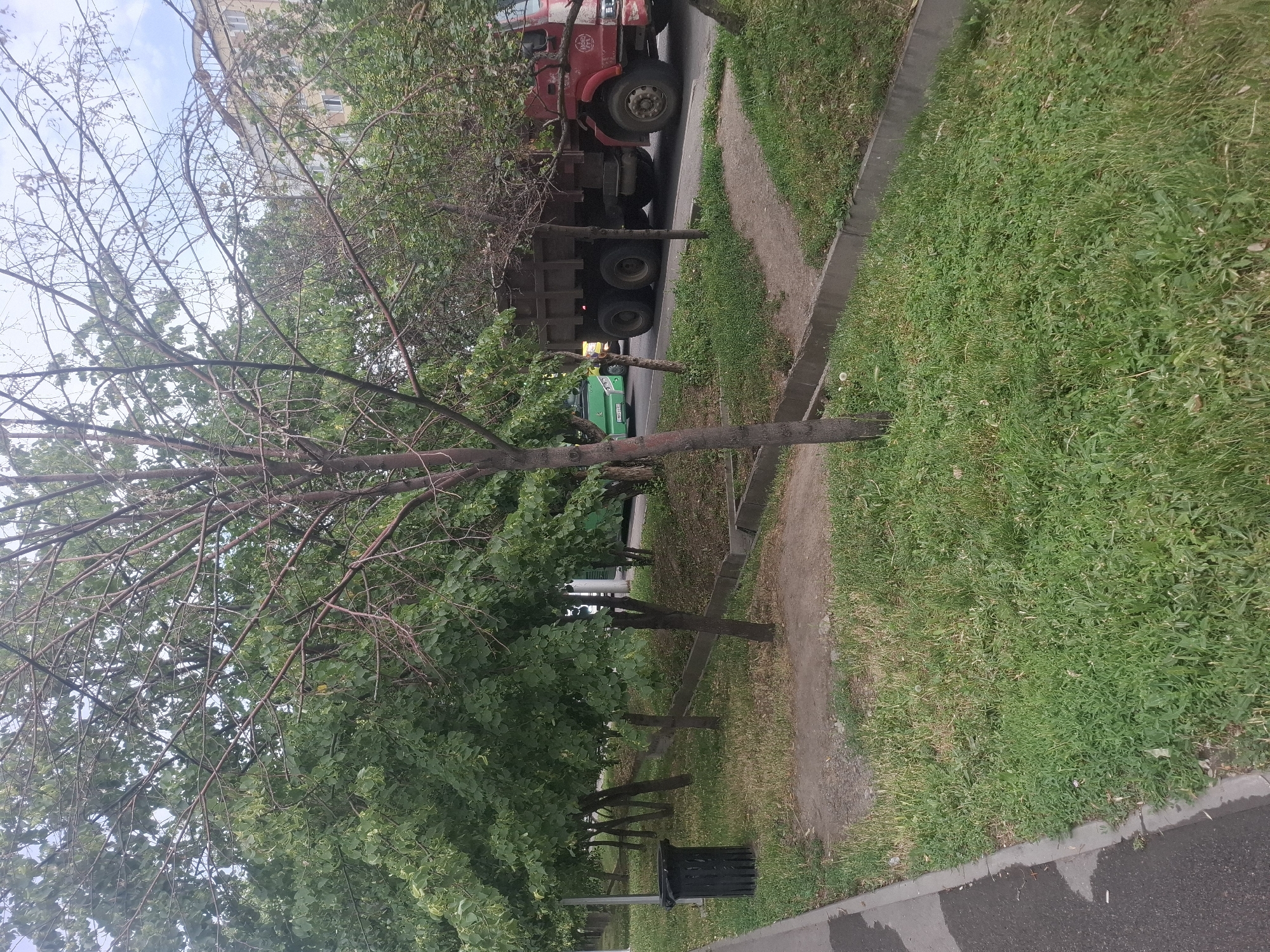 The image shows a street scene in Almaty, Kazakhstan, with a focus on a roadside area featuring trees, grass, and a road with vehicles. In the foreground, a grey asphalt sidewalk lines the left side of the image, bordered by a strip of green grass. Several young trees with slender trunks and leafy canopies are planted along the roadside, some appearing more mature than others. A black trash bin is visible next to one of these trees. A concrete curb separates the grassy area from the road.
The road itself has two lanes of traffic. A red dump truck, loaded with what appears to be debris or vegetation, is traveling in the right lane. To the left of the dump truck, a green bus is visible in the left lane, and behind it, a yellow vehicle is also present. The background features apartment buildings, suggesting an urban or suburban residential area. The sky is overcast with light clouds. The overall impression is a typical city street on a cloudy day.