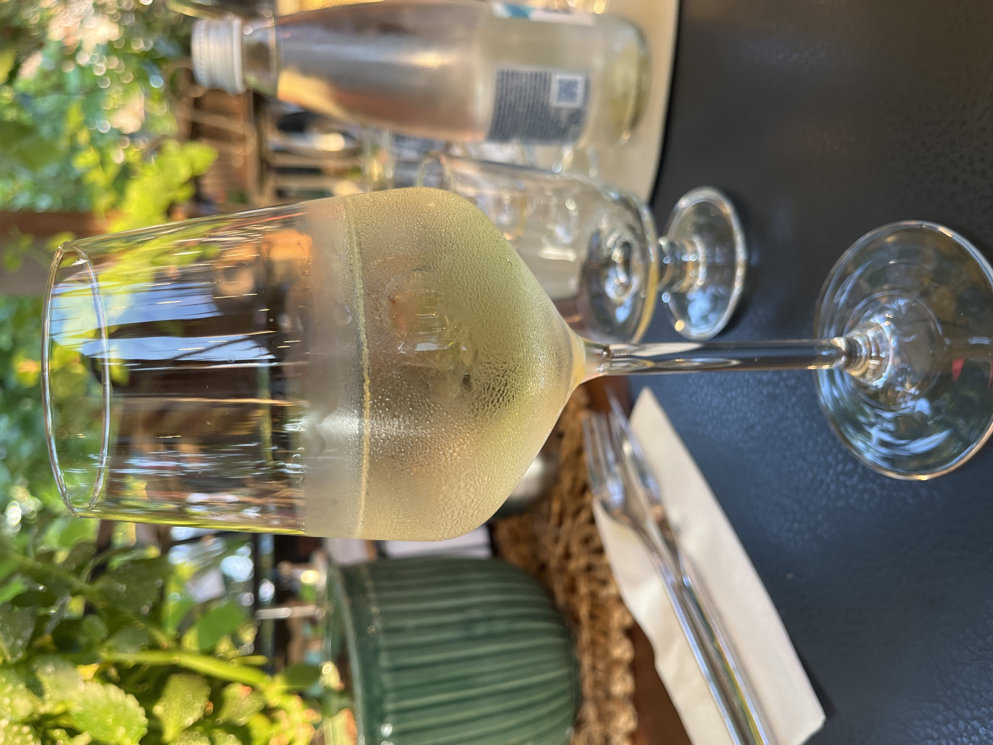 In Nesebar, Bulgaria, a glass of white wine sits on a dark table. The glass is filled with a pale yellow liquid and is covered in condensation, indicating it is chilled. In the background, lush green foliage suggests an outdoor or garden setting, possibly a restaurant patio. To the right of the wine glass, a partially visible bottle of water with a silver cap is present. In the foreground, a fork and knife are neatly arranged on a white napkin, suggesting a meal is about to be served or has just concluded. The overall scene evokes a relaxed, leisurely dining experience amidst natural surroundings.