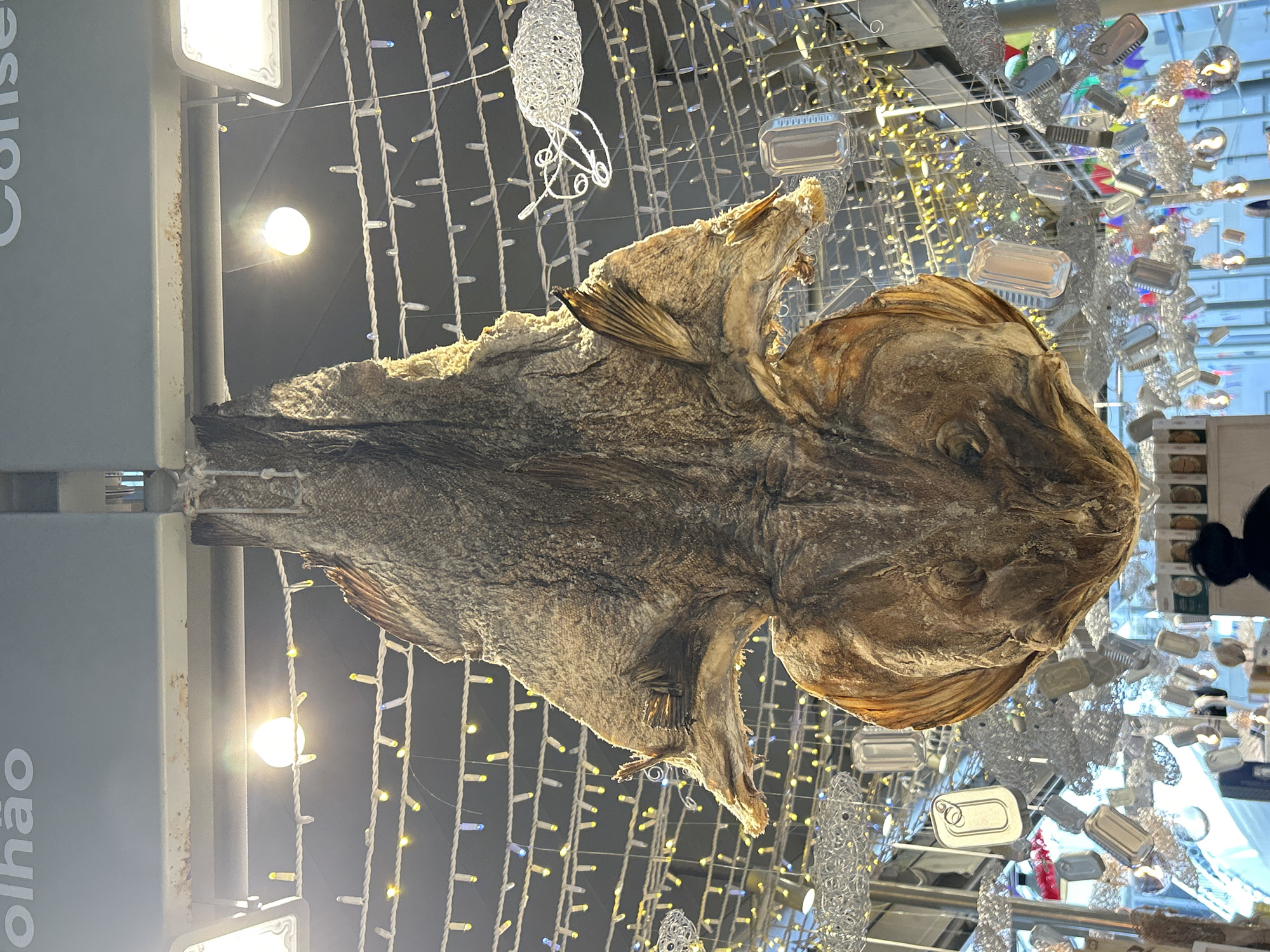 The image shows a very large, dried fish suspended from the ceiling. The fish is predominantly brown and appears to be a whole fish, with its head and tail visible. It is hanging by a rope or string attached to its head. The background is a festive display with numerous strings of small, colorful lights, some white, some yellow, and some blue. There are also decorative elements that look like wire sculptures of fish and several metallic cans hanging as ornaments. The scene appears to be indoors, possibly a market or a shop, with bright overhead lights visible. The overall impression is one of a unique and perhaps unusual decoration.