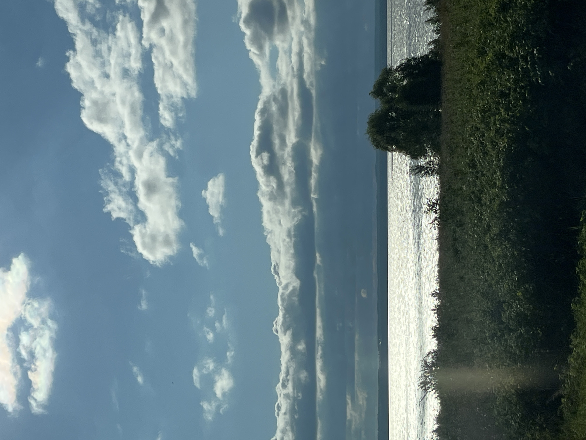 The image depicts a wide body of water, likely a river or lake, under a bright, cloudy sky. The water surface reflects the sunlight, creating a shimmering effect. In the foreground, there is dense green vegetation, appearing as a field or marsh. Two trees are visible on the right side of the foreground, silhouetted against the water. The sky is a pale blue with numerous white, puffy clouds scattered across it, some of which are large and dramatic. A darker band of clouds runs across the middle distance, obscuring the horizon in places. The overall scene is a natural landscape with a focus on the interplay of light, water, and sky. The location is specified as Kryukovo, Russia.