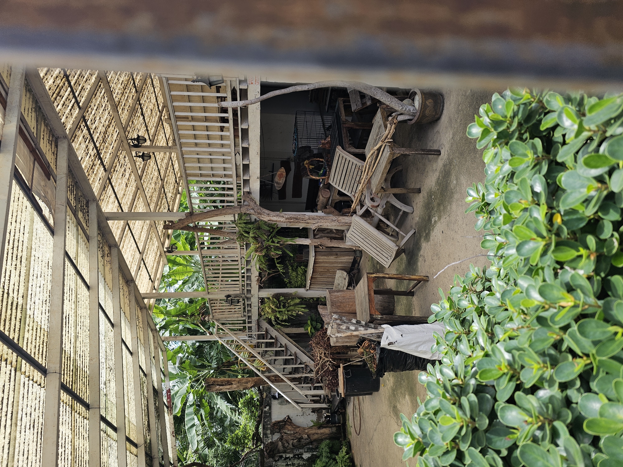 The image shows an outdoor covered seating area with a multi-level structure, possibly a cafe or restaurant in Bangkok, Thailand. The area is furnished with wooden tables and chairs, some of which are weathered and appear to be made from reclaimed materials. A staircase leads to an upper level, which is also covered by a corrugated translucent roof. Lush green foliage, including banana trees, surrounds the structure, suggesting a tropical environment. The ground is paved with concrete. There are no people visible in the scene, and the overall impression is one of a rustic, natural setting.