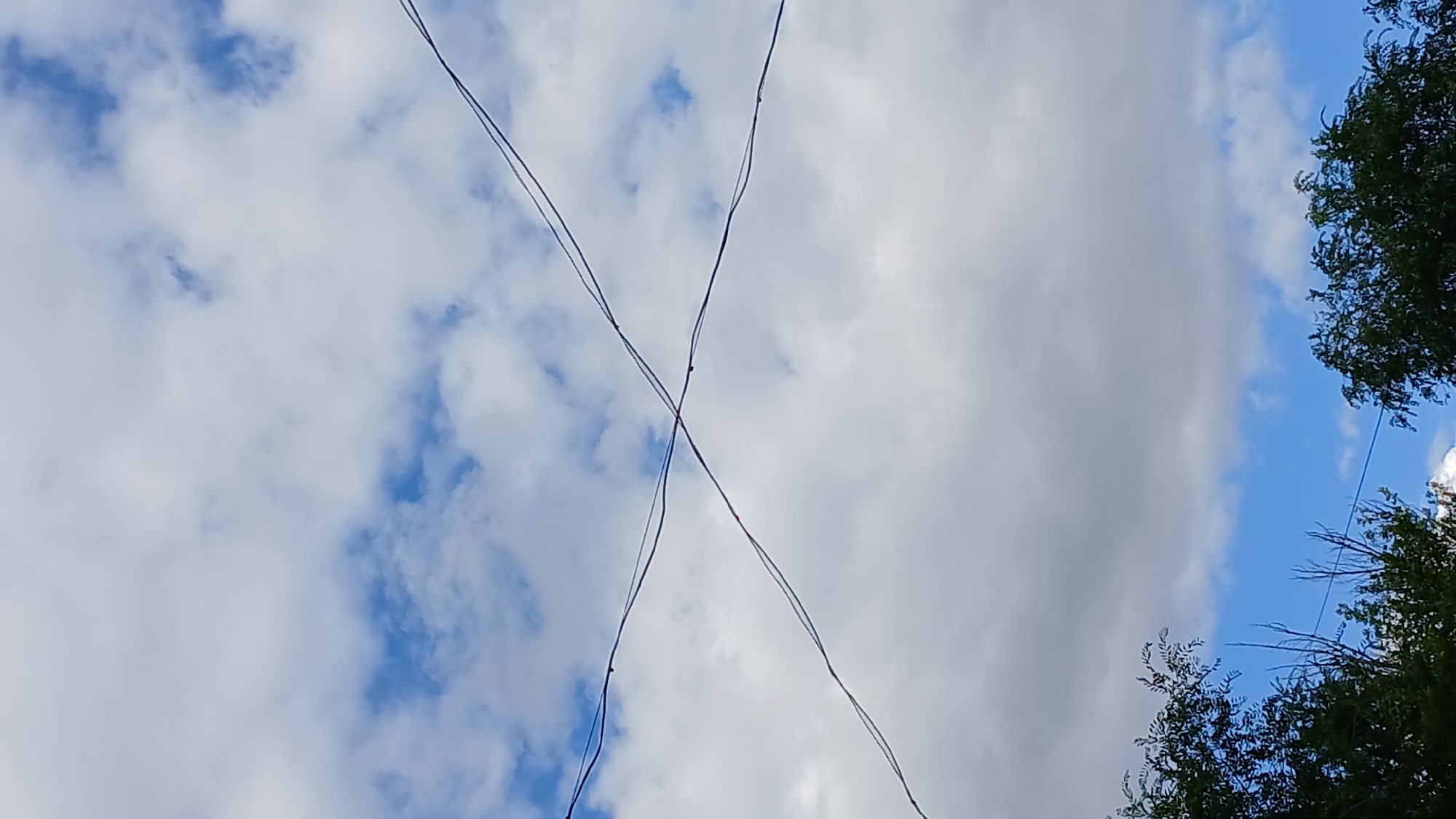 The image shows a bright, overcast sky with fluffy white clouds against a blue background. Two thin, dark power lines are visible, crossing each other in the center of the frame. The bottom of the image features the tops of dense green trees, suggesting an outdoor environment, possibly a park or a residential area. There are no people or specific landmarks visible to indicate a precise location within Oral, Kazakhstan.