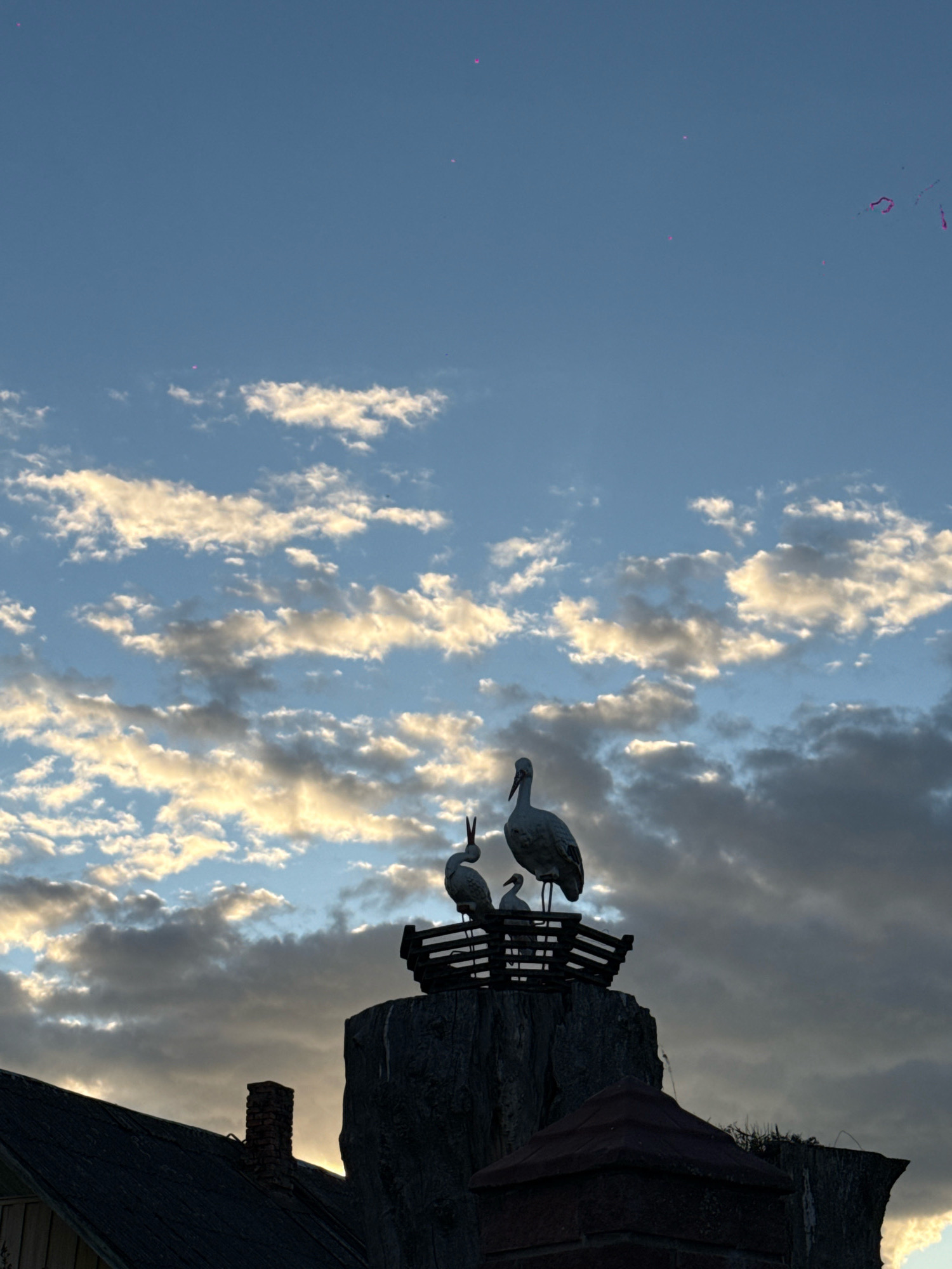 The image captures a low-angle view of a rooftop adorned with decorative storks, set against a backdrop of a partly cloudy sky at dusk. The storks, likely artificial, are positioned within a nest-like structure perched atop what appears to be a weathered, possibly stone or concrete, pillar or chimney extension. The largest stork stands prominently, facing to the left, while two smaller storks are visible within the nest, one seemingly interacting with the larger one. The sky displays a gradient of blues, with streaks of white and grey clouds illuminated by the setting sun, creating a dramatic effect. In the foreground, the dark silhouettes of rooftops and chimneys are visible, suggesting an urban or semi-urban setting. The overall scene conveys a sense of quiet evening ambiance. It is not possible to determine the specific location within Slawharad, Belarus, based solely on the visual information provided.