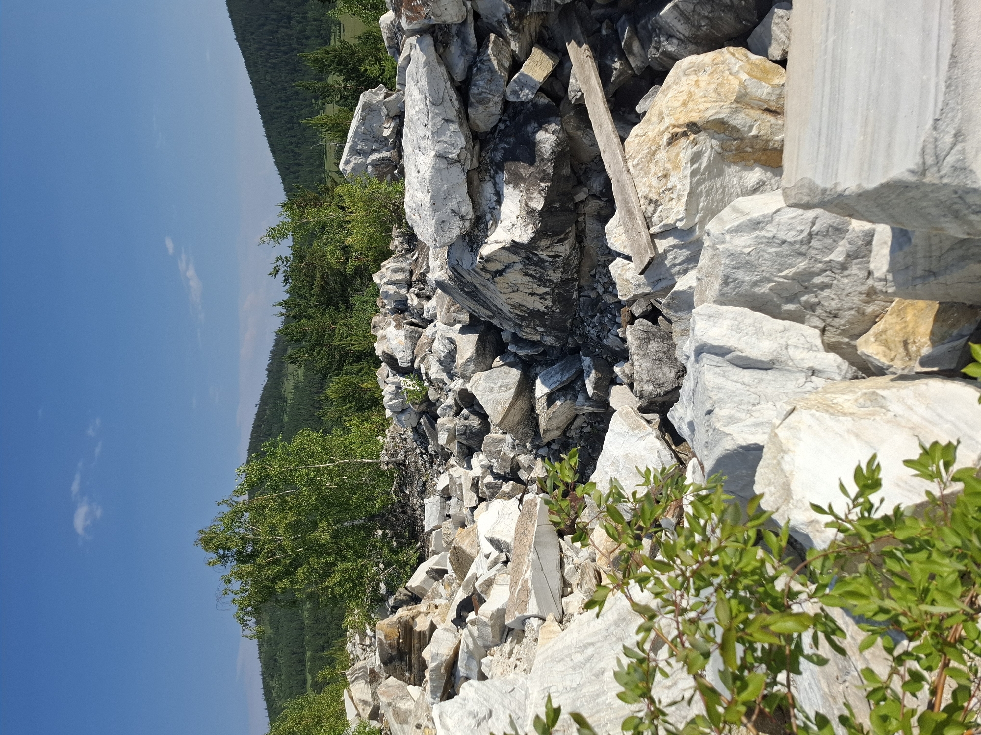 The image shows a rocky landscape in Bugul'deika, Russia. In the foreground, there is a pile of large, white and gray rocks, some of which appear to be marble. A few green branches with leaves are visible on the left side of the image. In the background, there are green hills covered with trees, and a clear blue sky with a few small clouds. The overall impression is of a natural, undeveloped area, possibly a quarry or a natural rock formation. There are no people visible in the image.