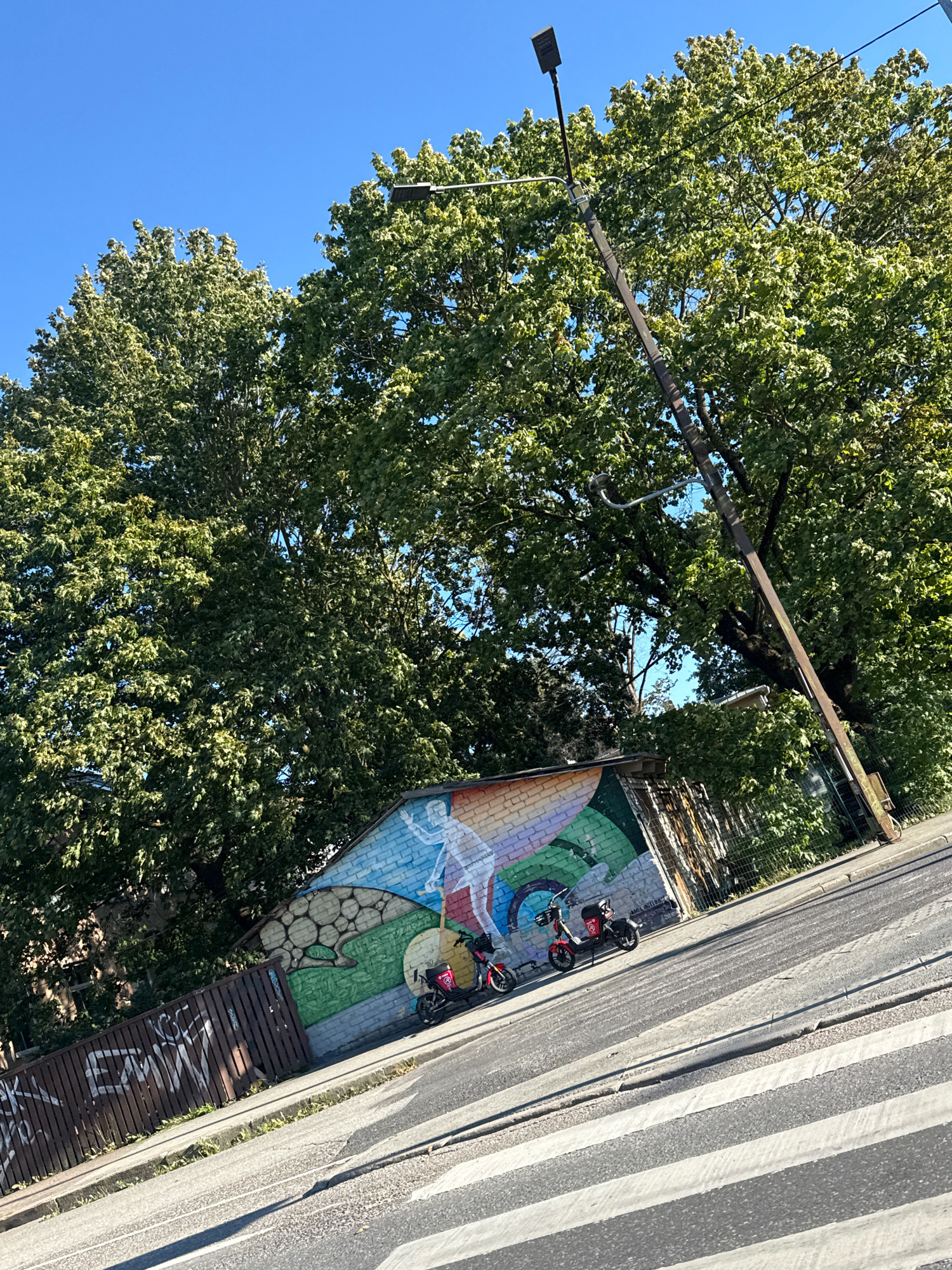 This image, taken in Tallinn, Estonia, depicts a street scene with a distinct mural on a brick building. The mural features a stylized, abstract depiction of a person on a bicycle, rendered in vibrant colors including white, blue, green, and yellow. Two red electric scooters are parked in front of the mural, one closer to the viewer and slightly to the left, the other further back and to the right.
The building itself is made of light-colored brick. To the left of the building, a wooden fence is visible, covered in graffiti. A large, leafy green tree dominates the upper portion of the image, its branches reaching across the sky. A black lamppost with a curved arm extends from the right side of the frame, casting shadows. In the foreground, a crosswalk with alternating white and grey stripes is visible on the asphalt road, indicating a pedestrian crossing. The sky is a clear, bright blue. The overall impression is a sunny day in an urban environment with artistic elements.