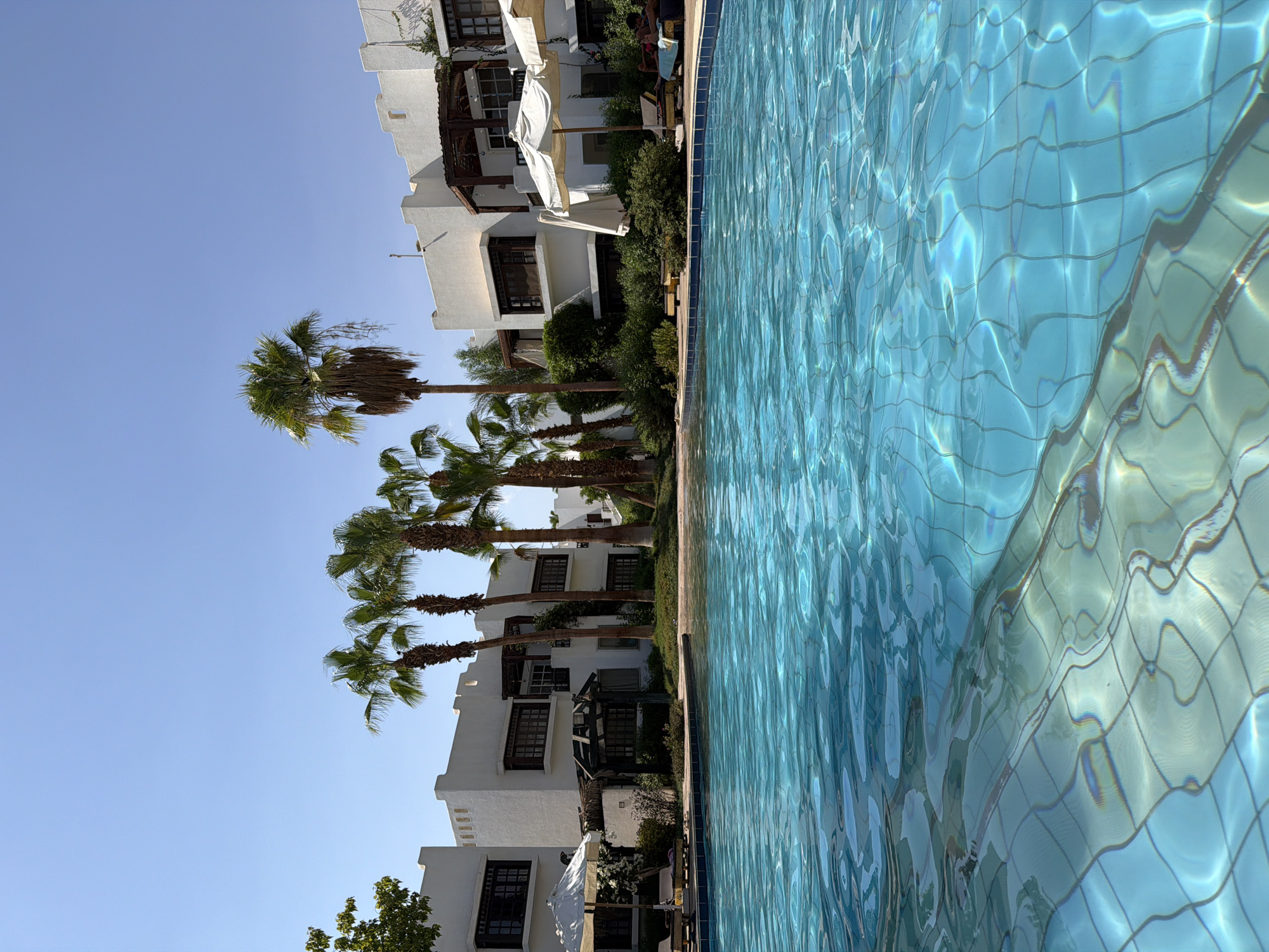 The image depicts a swimming pool in Sharm El Sheikh, Egypt. The foreground is dominated by the shimmering blue water of the pool, revealing the tiled pattern of its bottom. In the background, several white, multi-story buildings with traditional architectural elements like dark-framed windows and decorative crenellations are visible. Lush green vegetation and tall palm trees are interspersed between the buildings and surrounding the pool area, contributing to a tropical resort ambiance. Several white sun umbrellas and lounge chairs are arranged by the poolside, with two individuals relaxing on them. The sky above is a clear, bright blue, suggesting a sunny day.