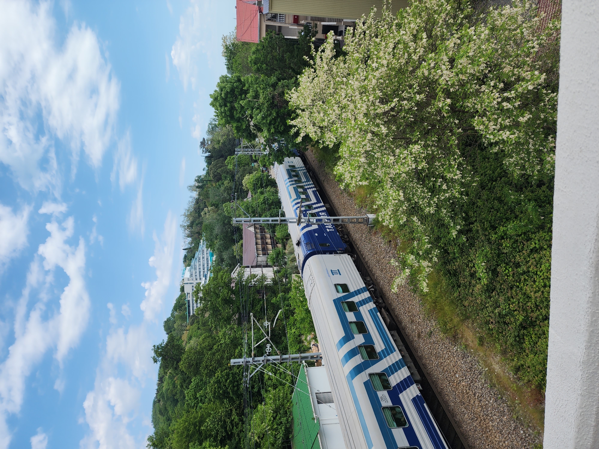 The image shows a blue and white commuter train traveling along a railway track in Sochi, Russia. The train is seen from an elevated perspective, possibly a balcony or a higher vantage point. The surroundings are lush green, with trees and vegetation lining the sides of the track. Several buildings can be seen in the background, suggesting an urban setting. The sky is partly cloudy with patches of blue. Overhead power lines are visible above the train track.