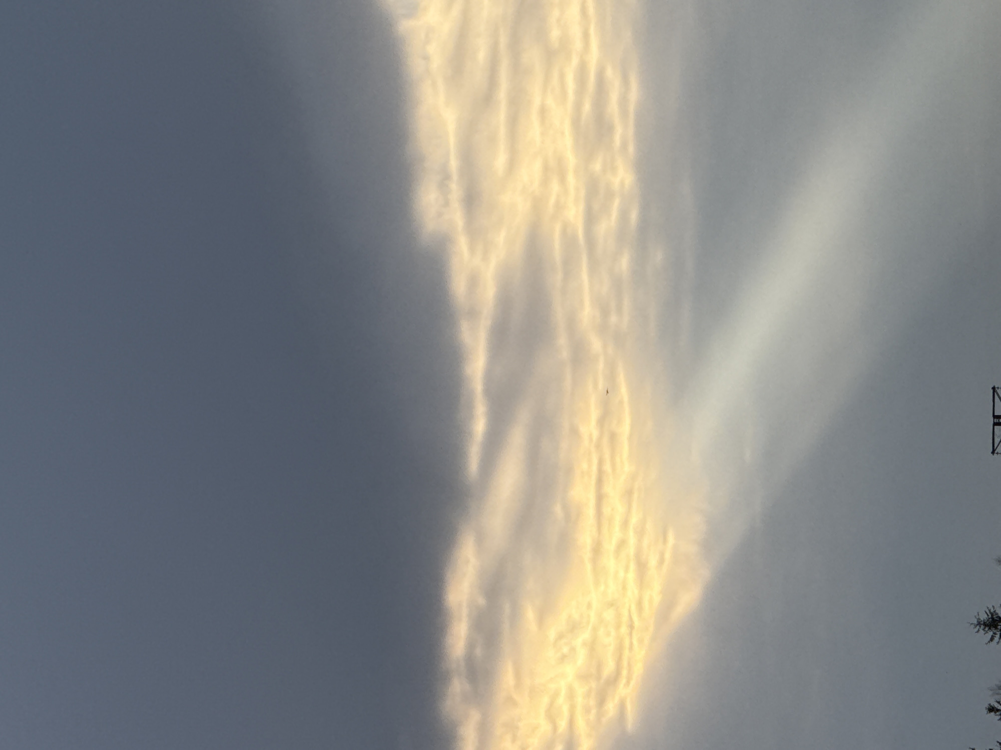 The image shows a sky with striated clouds. The clouds are predominantly white with a golden hue along the edges, suggesting the presence of sunlight. The sky surrounding the clouds is a gradient of gray to darker gray-blue. A faint, diagonal streak of lighter sky is visible in the upper right portion of the image, cutting through the clouds. On the right edge of the image, there are partially visible elements including what appears to be a power line structure and the tops of pine trees. The sky is likely in the city of Lupanovo, Russia. There are no people depicted in the image.
