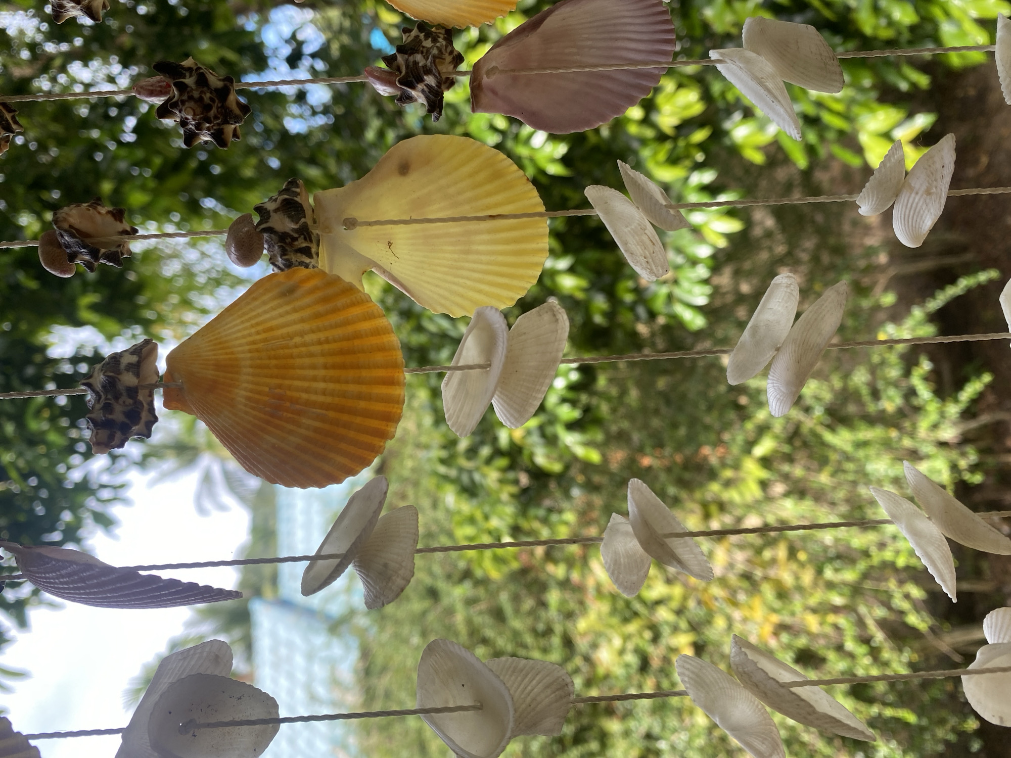 The image depicts a wind chime made of seashells, hanging outdoors in Thong Sala, Thailand. The wind chime consists of multiple strands of rope with various shells attached. Shell types include scallop shells in orange, yellow, and purple hues, as well as small white clam-like shells and spiky turban shells. Green foliage is visible in the background, and a glimpse of the ocean and sky can be seen in the distance. The shells are arranged at varying intervals along the strings.