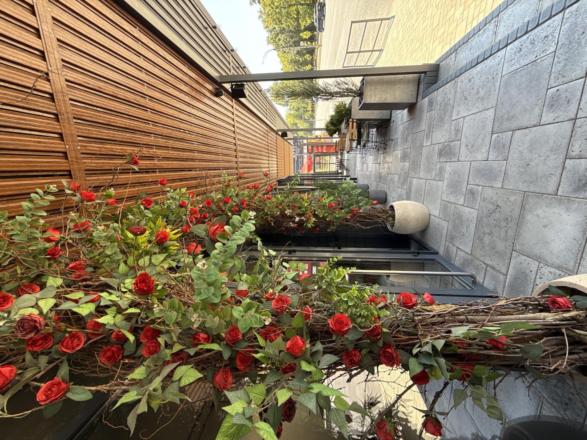 This is a medium shot, exterior photograph of a cafe's outdoor seating area in Balti, Moldova. The foreground is dominated by a large, artificial vine with red roses and green leaves, which wraps around the entrance of the building. The building's facade appears to be dark glass. The ground is paved with large, grey, rectangular tiles. Beyond the roses, an overhang with a slatted wooden ceiling is visible, supported by dark pillars. Further down the walkway, there are several small tables and chairs set up for outdoor dining. Large, grey planters containing small trees and shrubs are strategically placed along the edge of the seating area. A road runs parallel to the cafe, with trees and greenery lining the opposite side. A car is visible driving on the road. The overall lighting suggests it is daytime, with sunlight casting shadows.