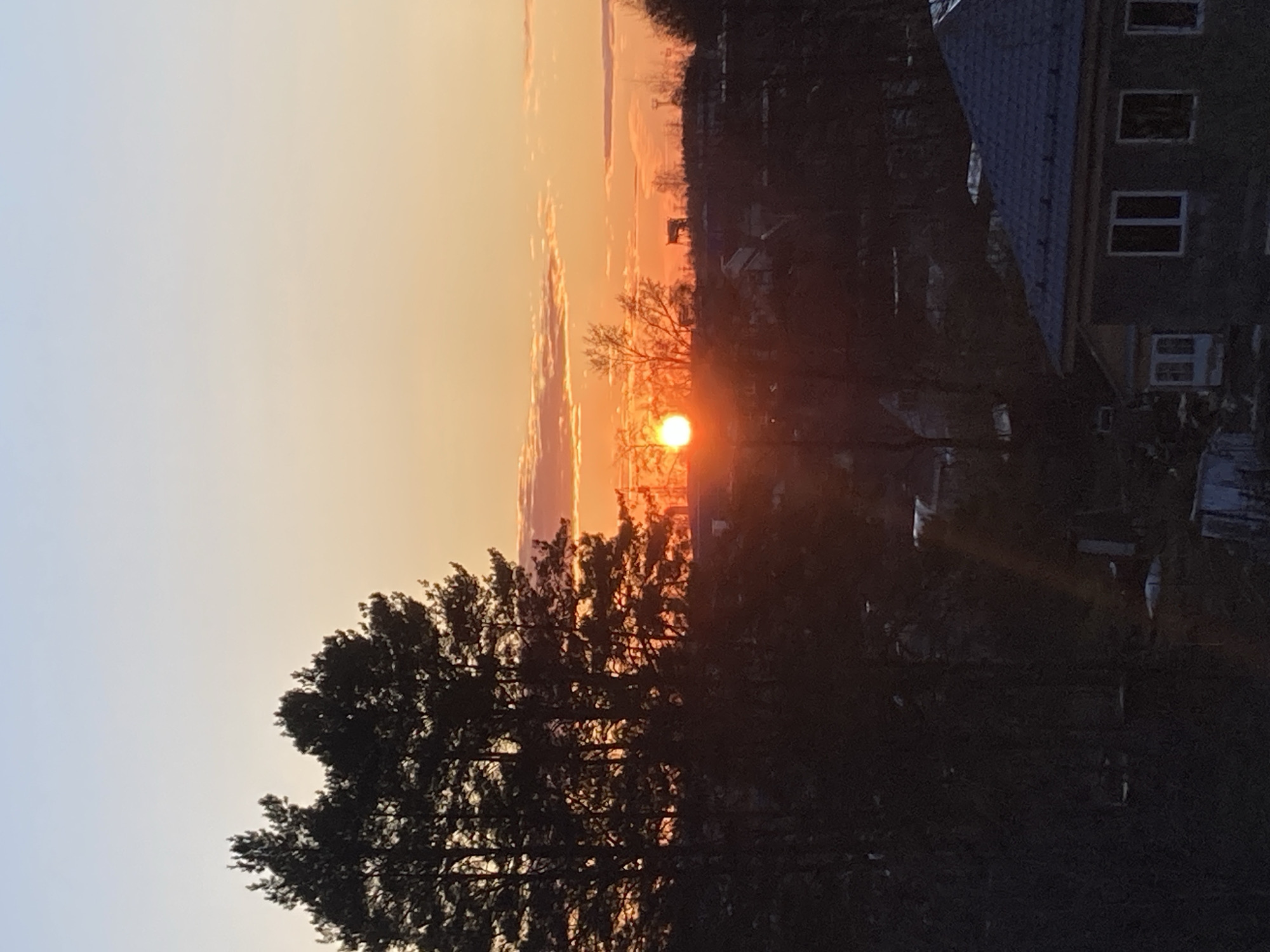 The image shows a sunset over a city, likely taken in Chaikovsky, Russia. The sky transitions from blue on the left to orange and red towards the horizon. The sun is a bright orange orb low in the sky, partially obscured by trees. Silhouetted against the sunset are the outlines of trees, buildings, and potentially other urban structures. A large tree occupies the lower left portion of the image, its branches dark and dense. To the right, a building with visible windows is present. The overall atmosphere suggests a calm evening in a residential area.