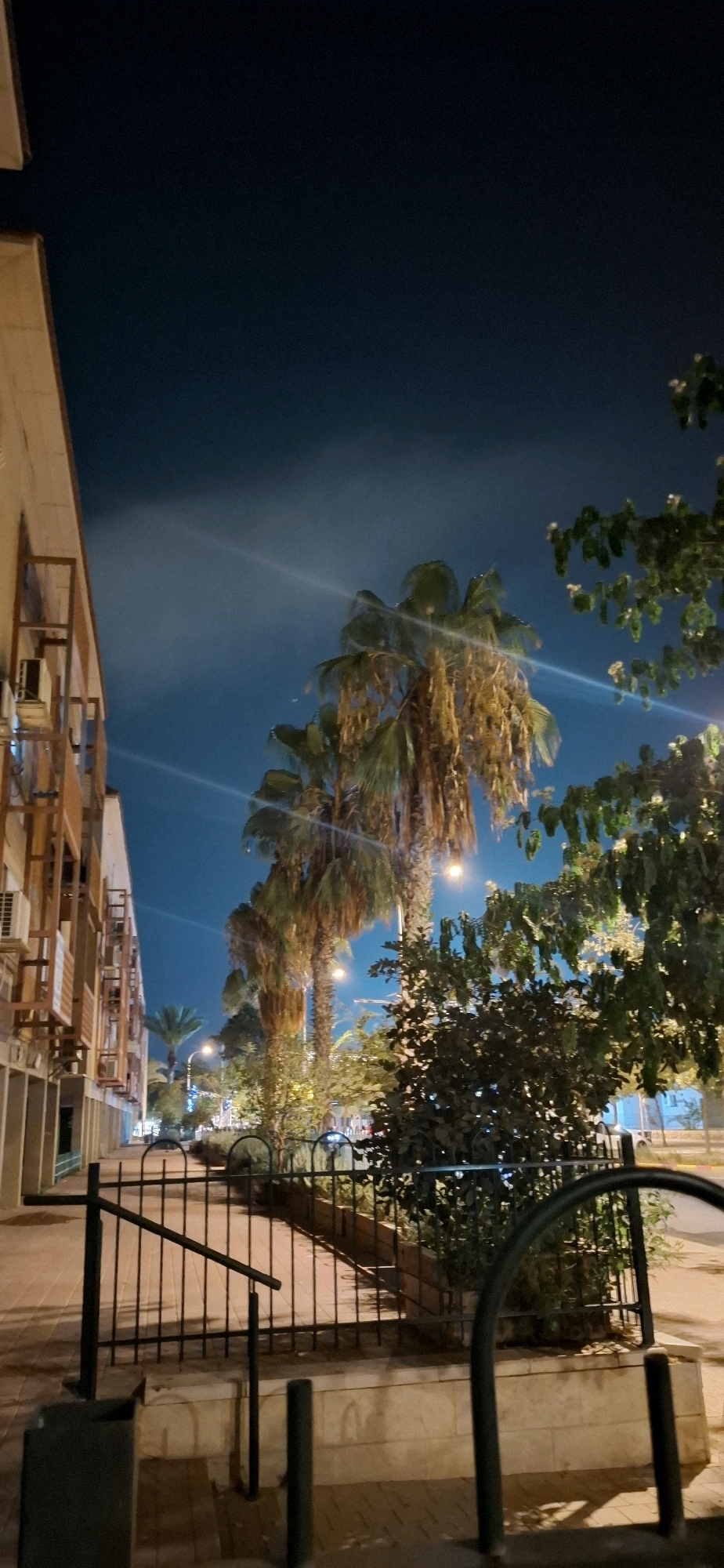 This vertical, low-light photograph captures a nighttime street scene in Yerocham, Israel. On the left, a multi-story building with balconies and air conditioning units is visible, its facade illuminated by ambient light. A black metal railing borders a raised walkway in the foreground. Beyond the railing, a series of tall palm trees with dry fronds dominate the midground, interspersed with lush green foliage and smaller trees. Streetlights cast a warm glow on the scene, illuminating a pathway that recedes into the distance. In the background, a street with vehicles and further buildings can be discerned. The sky is a deep, dark blue, with a faint wispy cloud formation visible. The overall impression is of a quiet, urban street at night, characterized by architectural elements and a prominent line of palm trees.