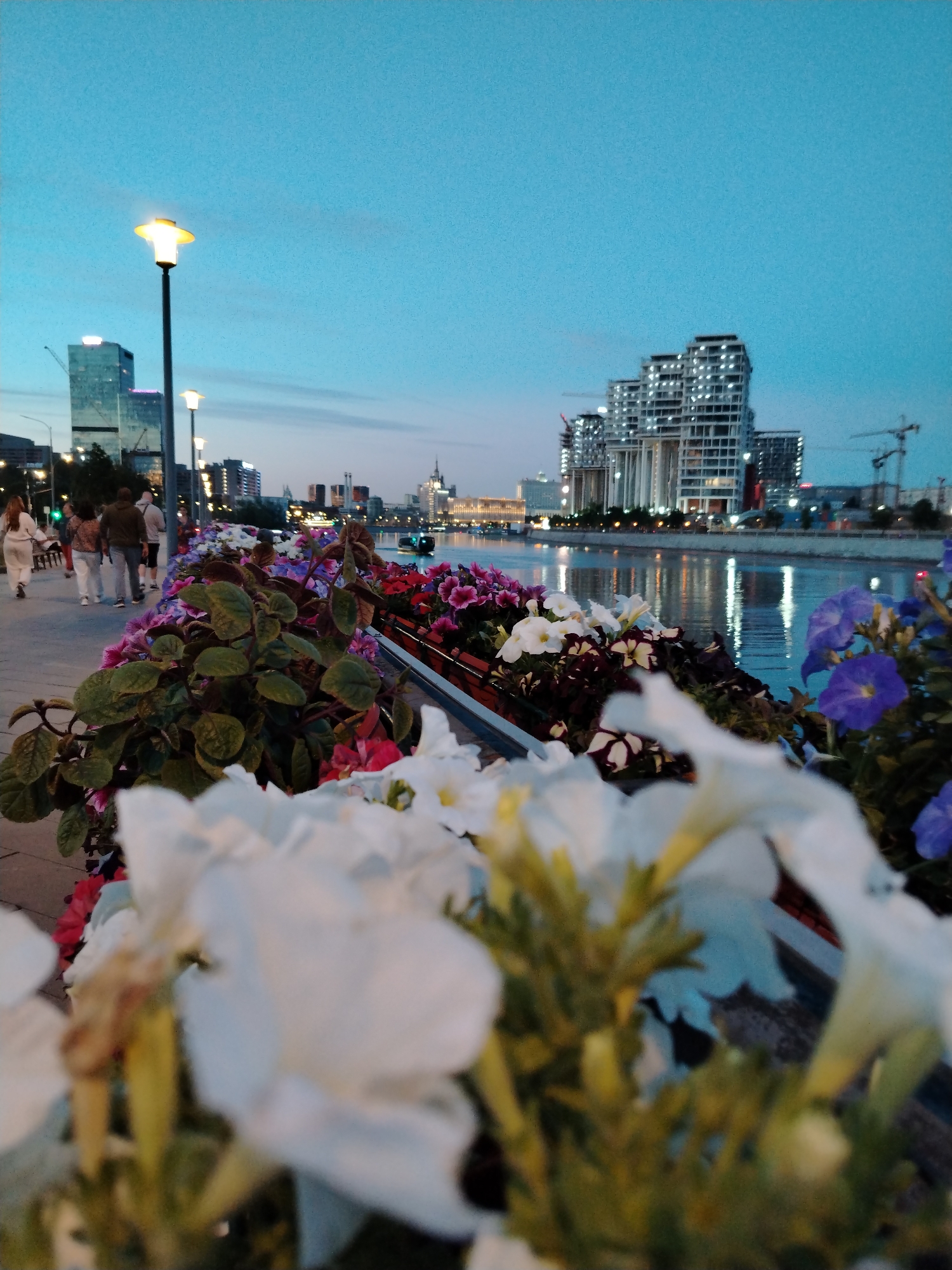 The image depicts a waterfront scene at dusk, likely in an urban environment. In the foreground, a series of flower beds are filled with a variety of blooming petunias in shades of pink, purple, white, and dark red. The flowers are lush and create a vibrant border along a walkway.
Beyond the flowers, people are strolling along the paved walkway. A few individuals are visible from behind, dressed casually, suggesting a relaxed atmosphere. Further in the background, a wide river reflects the lights of the city skyline. Modern high-rise buildings, some appearing to be under construction with visible cranes, dominate the skyline. Streetlights along the walkway are illuminated, casting a warm glow, and the sky is a clear, deep blue, indicative of twilight. The overall mood is peaceful and serene, with the gentle lighting and the tranquil water creating a pleasant ambiance. No visible text is present in the image.