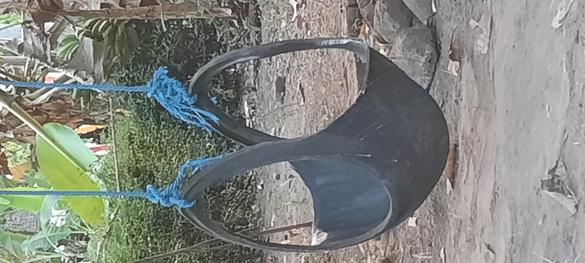 A homemade swing constructed from a tire and blue rope hangs from a tree in Ploso, Indonesia. The tire is cut in half horizontally, creating a bucket-like seat. The blue rope is knotted securely around the rim of the tire and attached to an unseen support above. The swing is suspended in a natural outdoor setting with lush green foliage and brown soil visible in the background. Sunlight filters through the leaves, casting shadows on the ground. The image appears to have been taken in the daytime.
