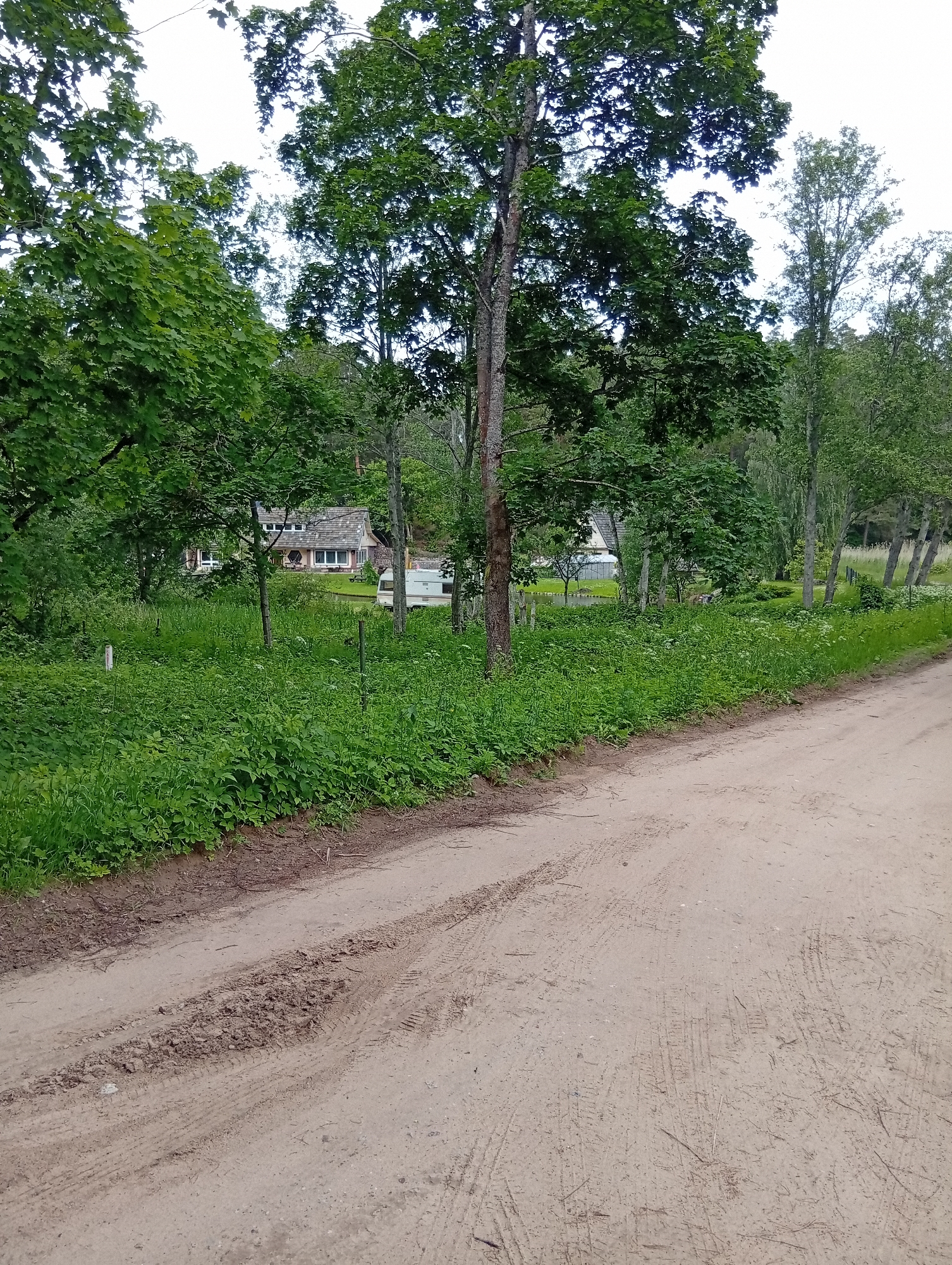 This image depicts a dirt road in Juodlė, Lithuania, with a dense green forest bordering the right side of the road. A row of trees with thin trunks and light-colored bark is visible along the edge of the forest, with some trees taller than others. In the background, a white caravan is parked next to a building with a light-colored roof. The building has multiple windows and a light-colored facade, and appears to be surrounded by more greenery. The dirt road itself shows visible tire tracks, indicating recent vehicle activity. The overall scene suggests a rural or semi-rural setting, possibly a campsite or a residential area with natural surroundings.