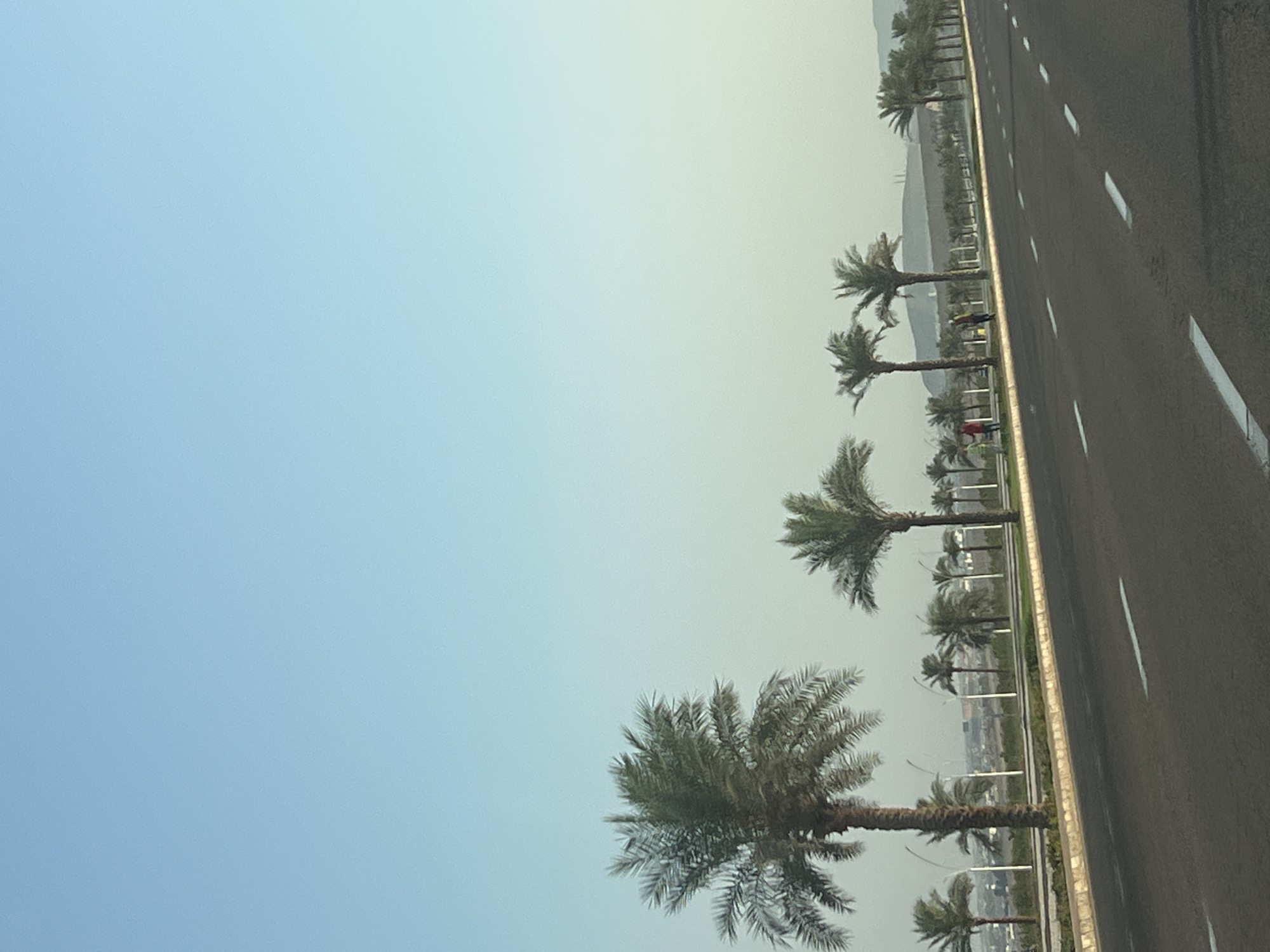 The image captures a road with a line of palm trees bordering it, likely in a city like Sharm El Sheikh, Egypt. The sky is a clear, pale blue, transitioning to a lighter shade near the horizon, suggesting a bright day. The road itself is paved and appears to be a multi-lane highway with white dashed lines indicating lanes.
To the left of the road, there's a raised median with sparse green vegetation. Beyond the median, a row of palm trees is planted. Some of these trees are tall and slender, while others are shorter and bushier. In the distance, beyond the trees, there are hints of buildings and structures, suggesting an urban or suburban landscape. Two individuals, dressed in casual clothing, can be seen standing on the median, possibly observing the surroundings or engaged in a brief pause.
The overall impression is one of a well-maintained road and landscape, characteristic of tourist or developed areas in a warm climate. The image seems to be taken from a moving vehicle, as indicated by the slight motion blur on the palm trees and the perspective of the road.