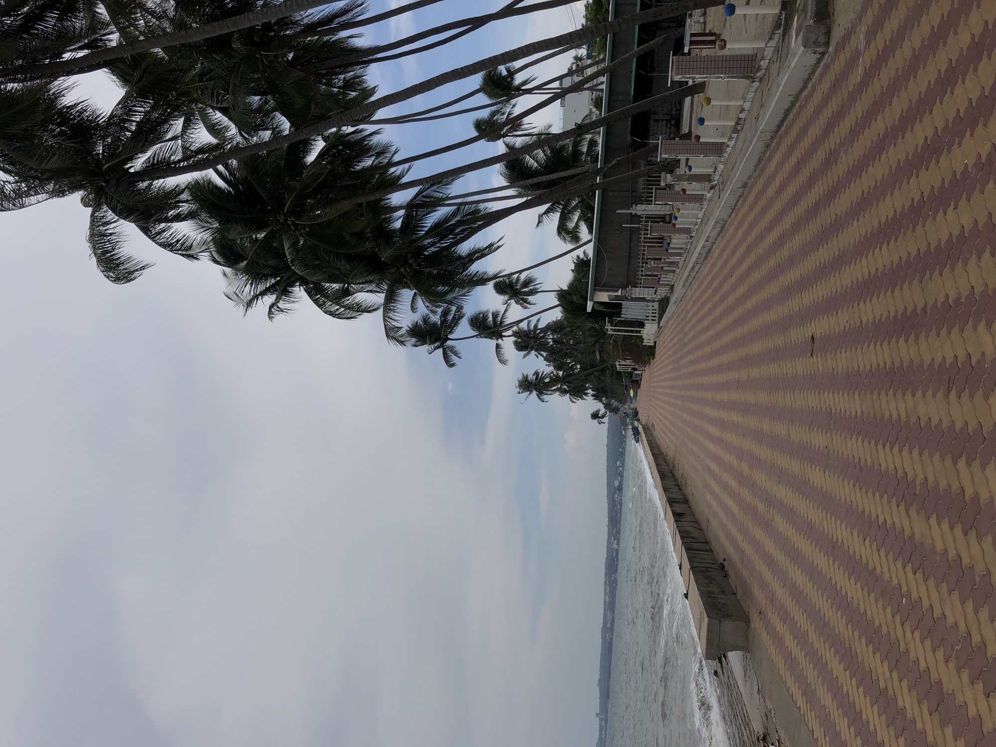 The image depicts a scenic view of a tropical coastline, likely Mũi Né, Vietnam. The foreground is dominated by a paved walkway with a distinct pattern of interlocking red and yellow bricks, stretching diagonally into the distance. The walkway is bordered by the sea on one side, with gentle waves lapping against a concrete barrier.
To the left of the walkway, a line of palm trees with lush green fronds sways against a pale blue sky with scattered clouds. The palm trees are tall and slender, characteristic of tropical coastal environments. Beyond the palm trees, a row of buildings with white exteriors and dark roofs can be seen, suggesting a resort or residential area along the coast. Some of these buildings have open-air structures with white columns, possibly indicating shops or cafes. Small, colorful spheres, appearing to be decorative balls, are visible on some of the structures.
The sea in the image is a murky gray-green, and the sky suggests it may be overcast or a hazy day, possibly late afternoon or early morning. There are no visible people in the immediate foreground, but distant boats and a faint outline of a coastline suggest a populated area further down the shore. The overall mood is tranquil and evokes a sense of a relaxed, tropical vacation destination. No text is visible in the image.
