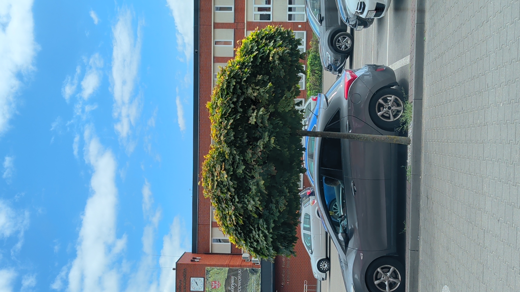 The image shows a view of a street in Nowy Dwór Mazowiecki, Poland, with a brick building in the background and several parked cars. A large, round tree with dense green foliage is in the foreground, partially obscuring the cars. The building appears to be an administrative or public building, as indicated by a clock and a crest on its facade, along with signage that reads "Starostwo Powiatowe" and "Nowodworski". The sky is blue with scattered white clouds. The street is paved with interlocking concrete blocks. The cars visible include a grey hatchback in the foreground, a silver hatchback, a blue car, a dark grey SUV, and a white car further down the street. The scene is set during the daytime.