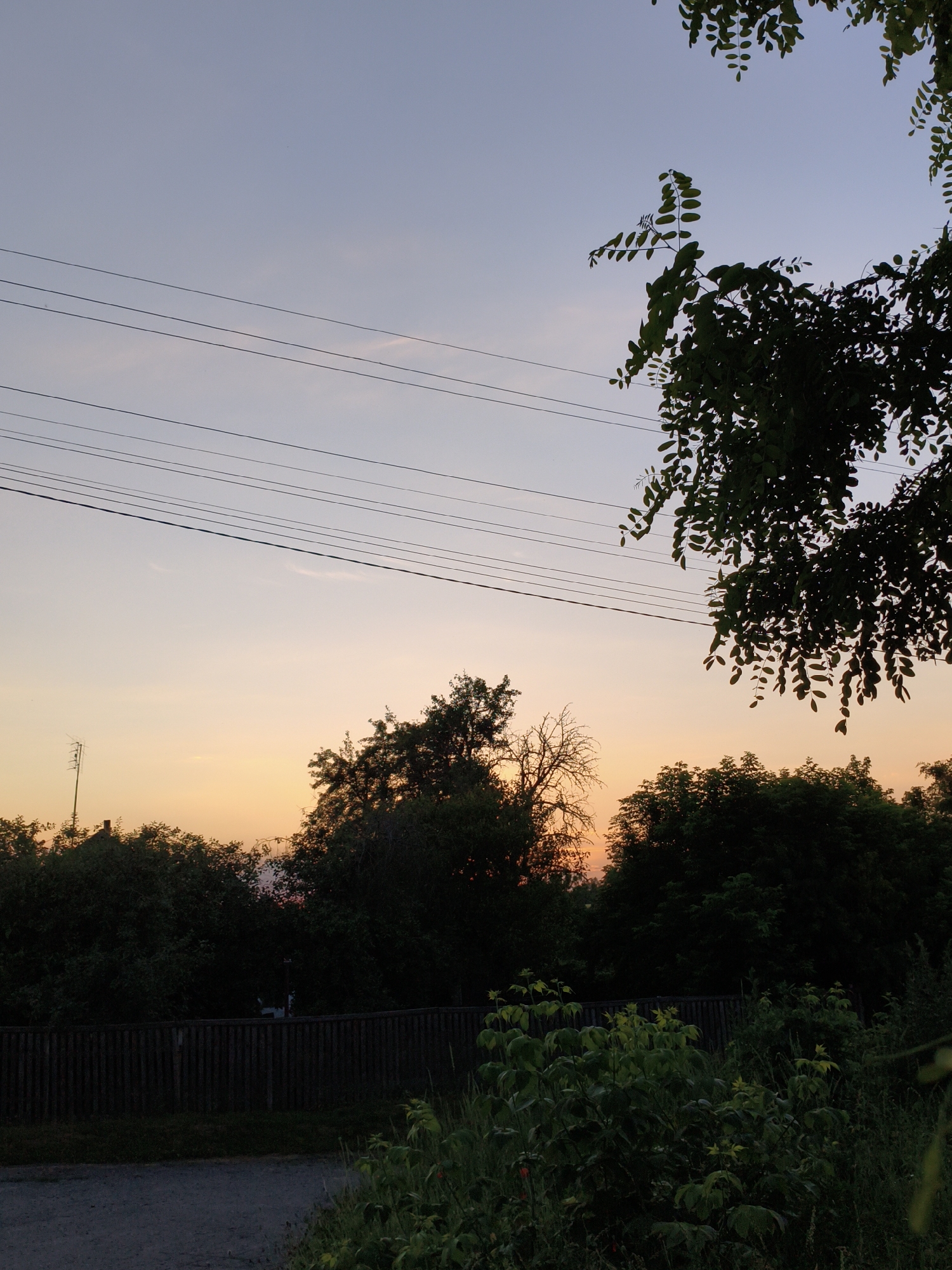 The image depicts an outdoor scene at dusk, likely in Ustyvytsia, Ukraine. The sky transitions from a pale lavender at the top to a soft orange near the horizon, with thin, wispy clouds. Several parallel power lines stretch horizontally across the upper portion of the frame. Silhouetted against the sky are the dark shapes of trees and foliage. In the middle ground, a wooden fence runs horizontally, behind which more dense vegetation is visible. The foreground features a dirt or gravel path on the left and lush, green plants and grass on the right. A small antenna structure is visible above the treeline on the left side of the image. The overall impression is one of a rural or suburban setting during twilight.