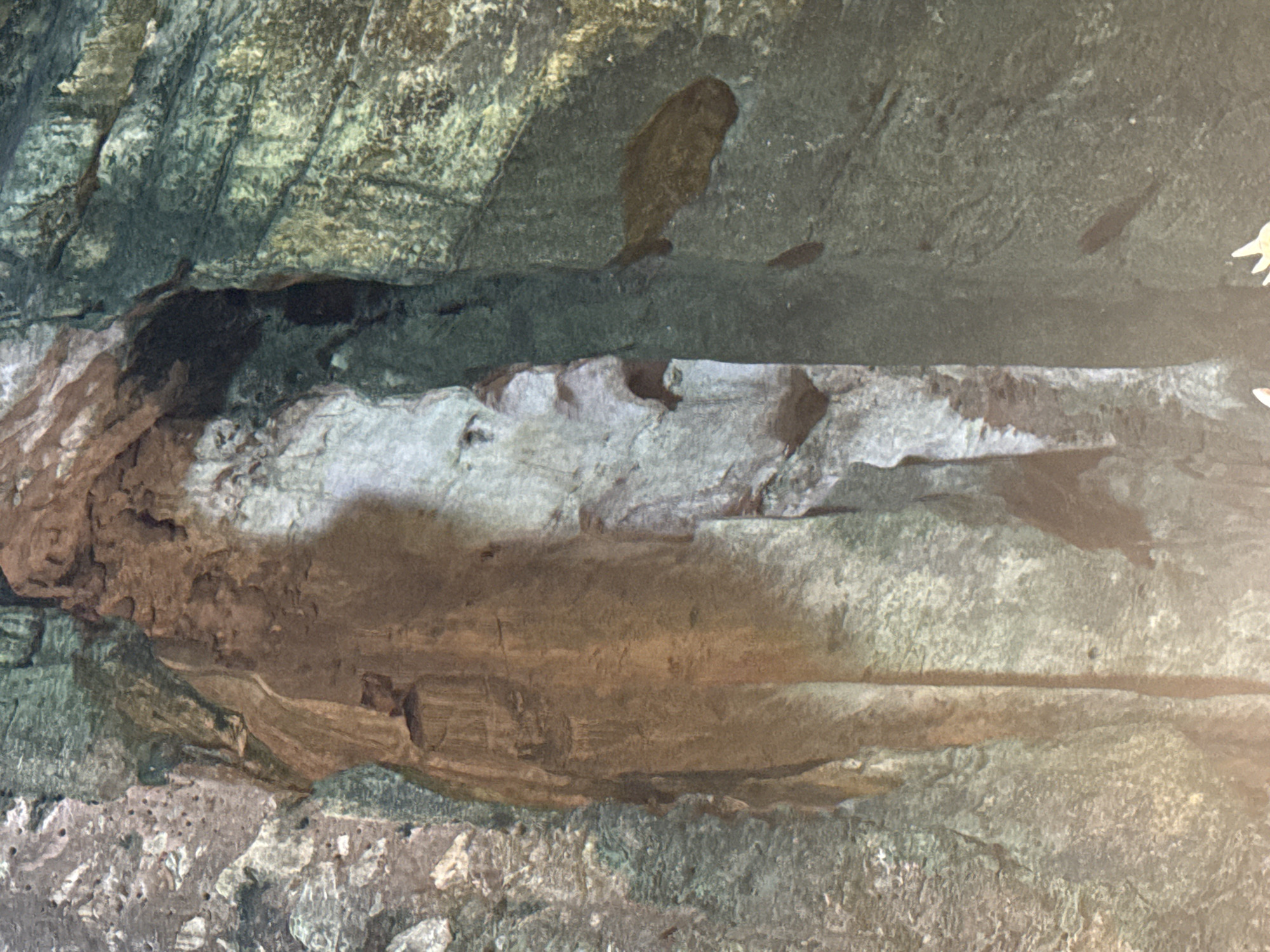 The image depicts a close-up of a rock face or cave wall, likely composed of sedimentary rock with varying colors ranging from green and gray to brown. There are visible layers and textures within the rock formation, indicating geological stratification. Dark recesses and crevices are present, some with noticeable staining or discoloration. In the upper portion of the image, there are shadowy figures that could be fish. Without additional context or information, a specific location within Đà Nẵng, Vietnam, cannot be definitively determined.