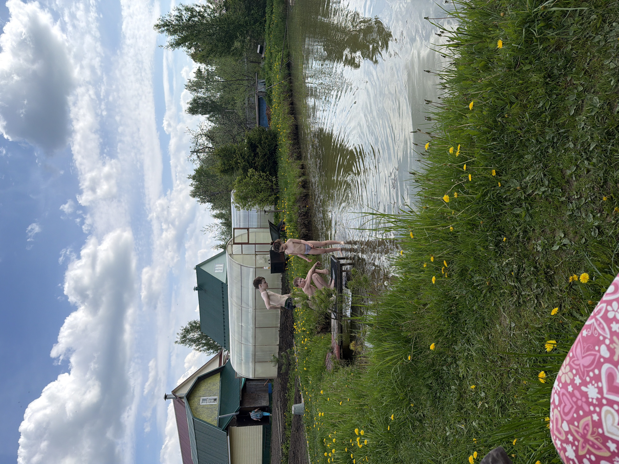 The image shows an outdoor scene in Zaprudnya, Russia. Three children are wading in a murky body of water that appears to be a pond or a small lake. Two of the children are standing, while the third is sitting on what looks like a makeshift bench or a partially submerged structure. The children are wearing bathing suits. The pond is bordered by grass and dandelions on one side. Behind the pond, there is a row of buildings, including a yellow and green house and a greenhouse with a green roof. The sky is partly cloudy.