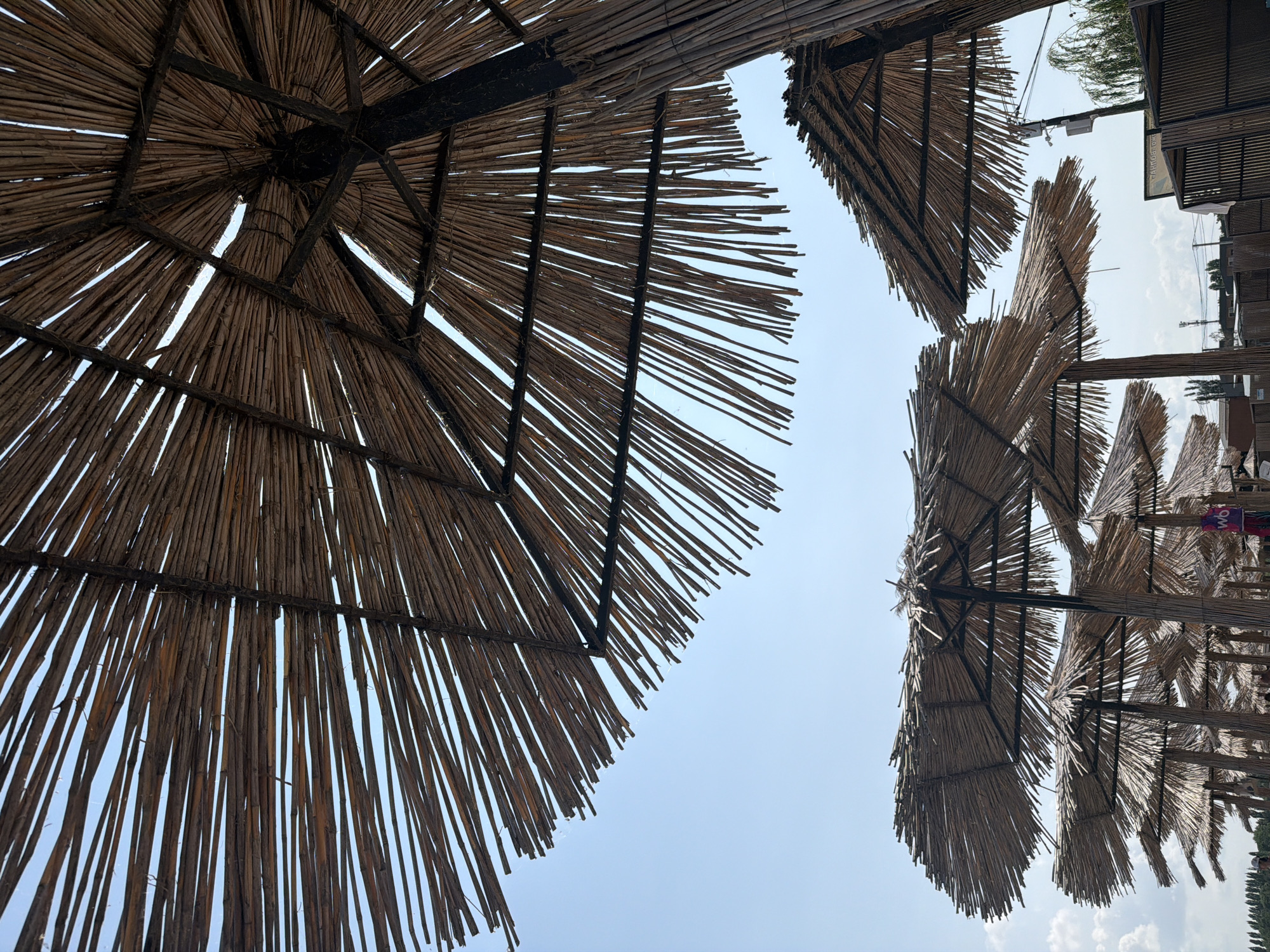 The image depicts a cluster of thatched umbrellas on a beach, viewed from below against a clear blue sky. The umbrellas are made of natural materials, with a wooden central pole and a canopy constructed from dried reeds or straw. The weave is loose, allowing sunlight to filter through. In the background, several more umbrellas are visible, as well as some buildings and trees. A few people can be seen in the distance, and there are electrical poles and wires. The scene suggests a warm, sunny day at a seaside resort. The location is identified as Stefanidinodar, Russia.