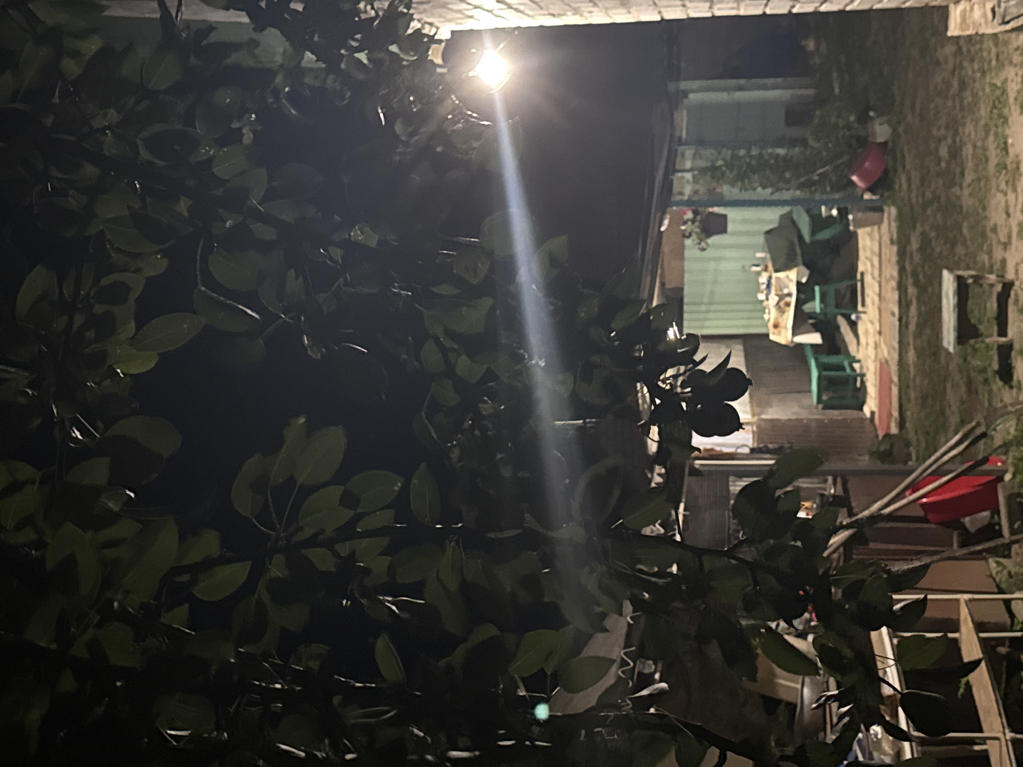 The image depicts a dimly lit backyard scene at night, likely in a residential area. In the foreground, dark green foliage from a tree hangs down, obscuring parts of the view. A bright outdoor light fixture is visible on the right, casting a strong beam across the scene. In the mid-ground, an open-air structure, possibly a veranda or carport, is set up with a table covered by a patterned tablecloth. Several chairs or benches surround the table, some appearing to be made of wood with a green finish. A red basin or bucket and gardening tools are scattered around the area. In the background, indistinct structures and greenery are visible under the artificial light. The overall impression is that of a backyard gathering space at night, with emphasis on the outdoor lighting and the natural elements. The location is Shulhynka, Ukraine.