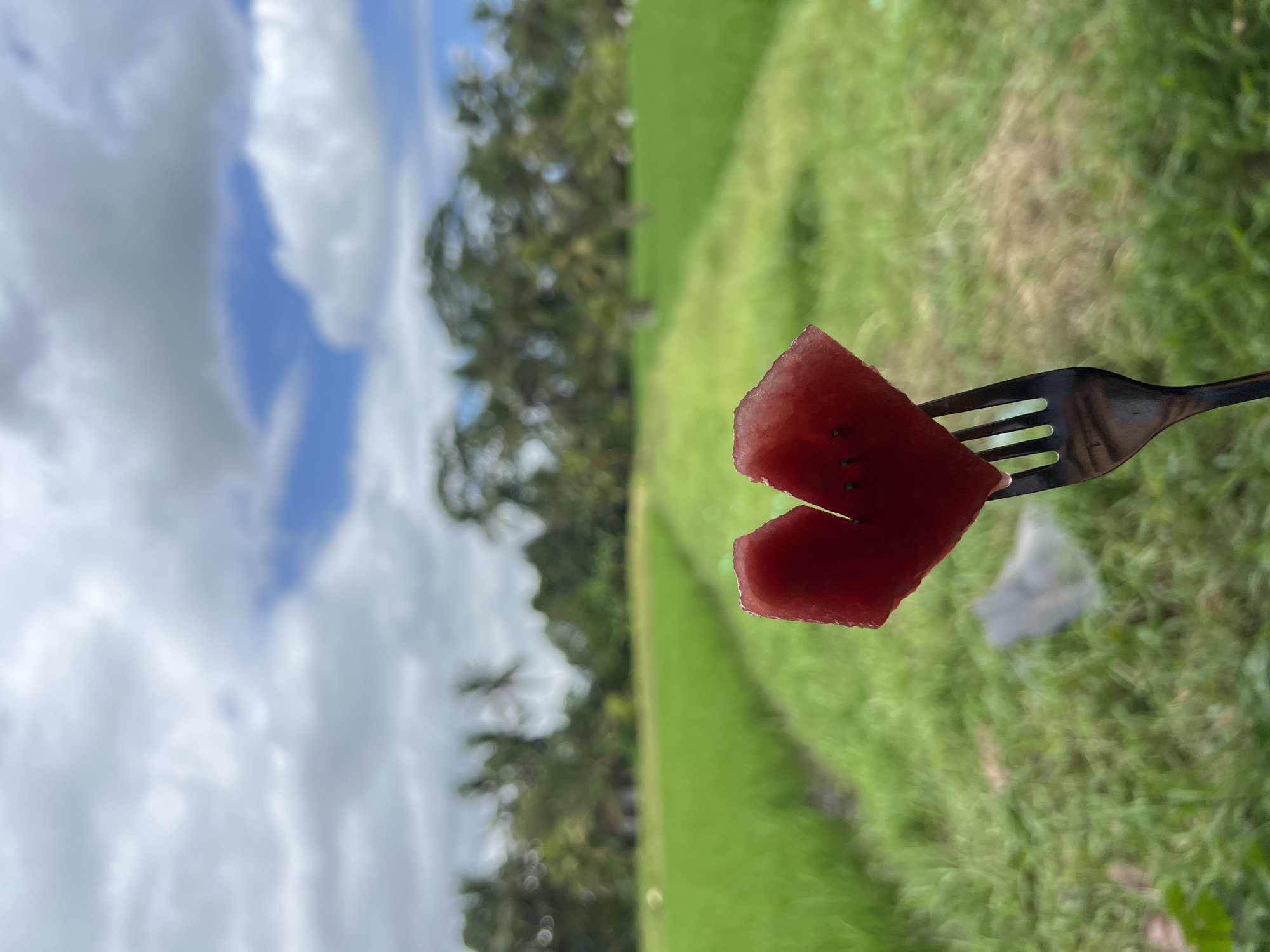 A slice of watermelon is pierced by a fork and held against a backdrop of green grass and a cloudy sky in Ubud District, Indonesia. The landscape appears to be rural with trees and foliage visible in the distance.