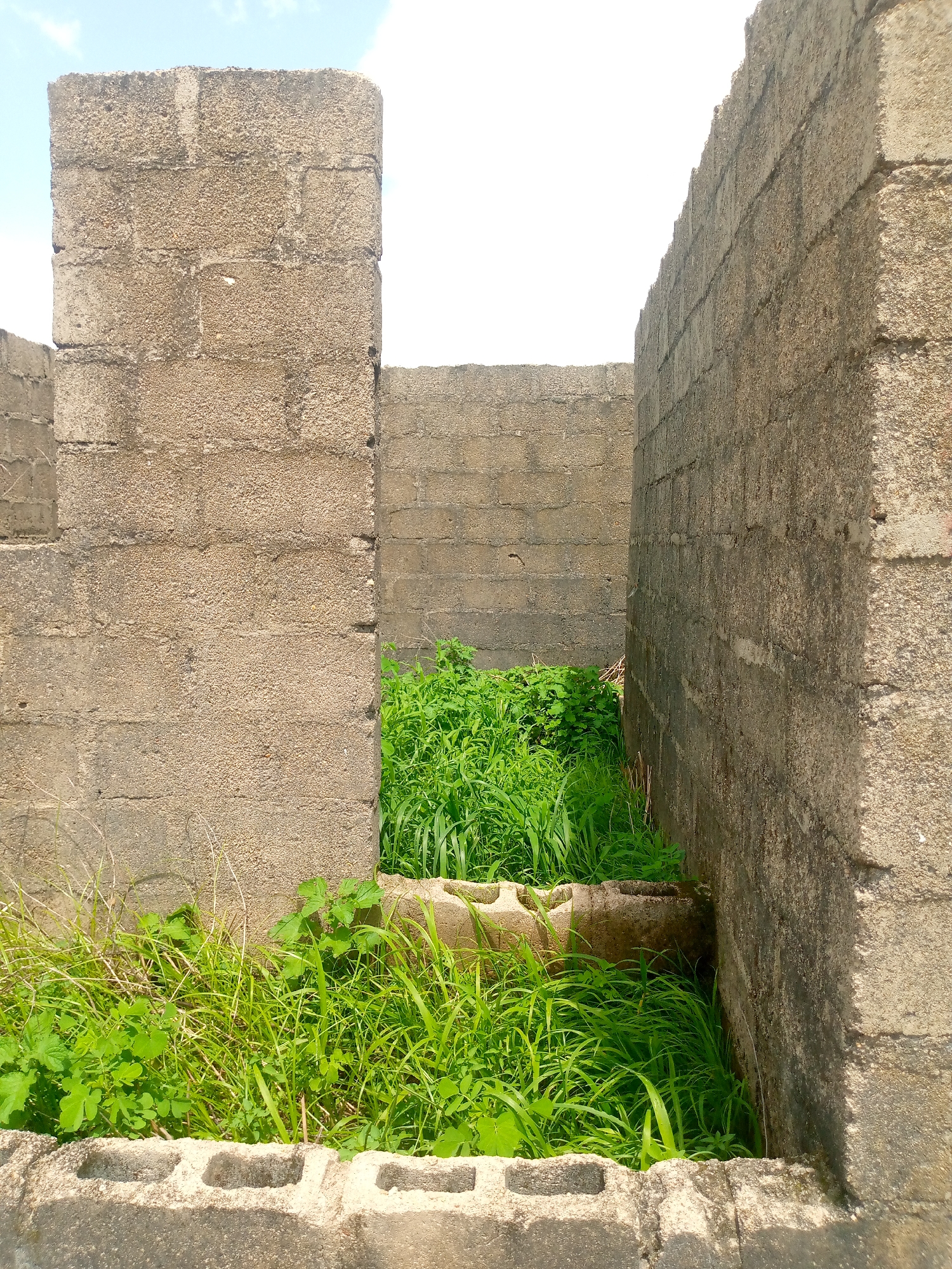 The image shows an outdoor scene in Jauro Yinu, Nigeria, depicting an unfinished concrete block structure. Two walls made of rough concrete blocks form a narrow passage leading to an overgrown area. The walls are unplastered and show signs of weathering. On the left, a thick concrete block wall with a rounded edge is visible. On the right, a similarly constructed wall recedes into the background. Between the walls, lush green grass and other vegetation have grown extensively, obscuring the ground and creating a wild, untamed appearance. The sky above is bright and appears to be clear with a few wispy clouds. The foreground shows the tops of more concrete blocks, suggesting the structure is incomplete or in a state of disrepair. No people or specific activities are depicted. The environment appears to be rural or semi-rural.