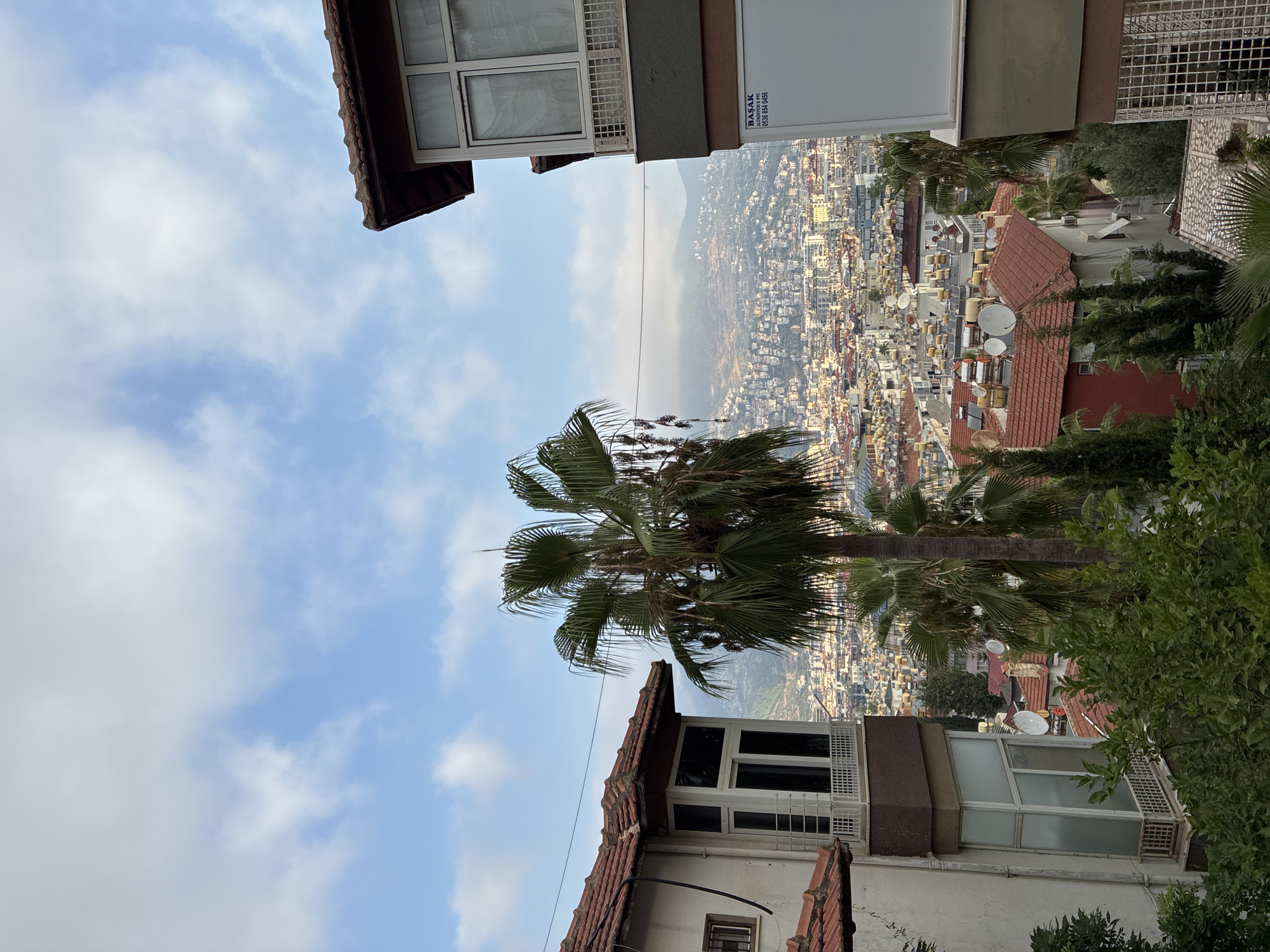 The image shows a view of Alanya, Turkey, from a residential area. In the foreground, there are parts of two buildings, a large palm tree, and lush green foliage. The building on the left has a white facade with a reddish-brown tiled roof and a bay window with white framing. The building on the right is partially visible, with a white section displaying text that appears to be a business name and phone number ("BAŞAK" and "0536 854 0456"). Its upper portion has a balcony with white railings and a tiled roof.
Behind the foreground elements, a sprawling cityscape of Alanya stretches out, characterized by numerous buildings with reddish-orange tiled roofs. Many of these buildings are equipped with solar water heaters, indicating a common feature in the region. The city extends towards a hazy mountainous background under a sky with scattered white clouds against a blue backdrop. The lighting suggests it is daytime, possibly late afternoon due to the angle of the light. No people are visible in the scene.