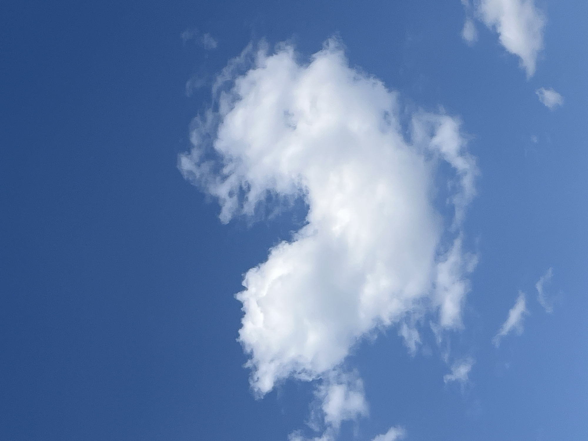 The image shows a bright blue sky with a large, puffy white cloud in the center-right of the frame. There are also a few smaller, wispier clouds scattered around. The location is not identifiable in the image. No people, subjects, objects, actions, or interactions are visible other than the clouds and the sky.