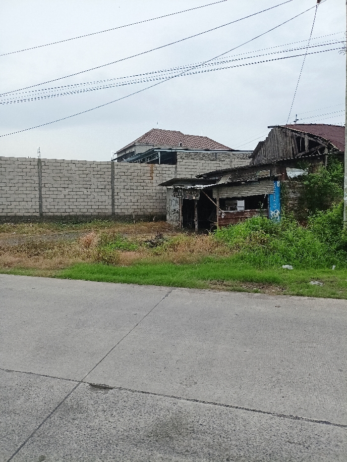 This image captures an outdoor scene in Kecamatan Mojosari, Indonesia, likely during an overcast day given the soft, diffused lighting. No people are visible.
In the foreground, a gray concrete road with visible expansion joints runs across the bottom of the frame. Beyond the road, there's a strip of green grass, transitioning into an unkempt patch of dry grass and weeds that covers an open lot.
The mid-ground features a long, light gray concrete block wall, spanning the left side of the frame and bordering the overgrown lot. To the right of this wall, a small, dilapidated structure with a rusted, corrugated metal roof and rough wooden walls stands. It has an open, dark entrance and what appears to be a shuttered window. A vertical blue banner with unreadable light text is affixed to its right side. Lush green bushes and foliage grow densely around this smaller building.
In the background, behind the wall and the smaller structure, a larger, more substantial house is visible. It features a prominent reddish-brown tiled roof with multiple slopes and dormers, indicative of typical residential architecture. The house's lower exterior walls are obscured by the foreground elements but appear to be light-colored. Numerous power lines stretch across the cloudy, pale sky above the scene. The overall impression is one of a developing area with contrasting elements of newer construction, an unkempt lot, and older, deteriorated structures.